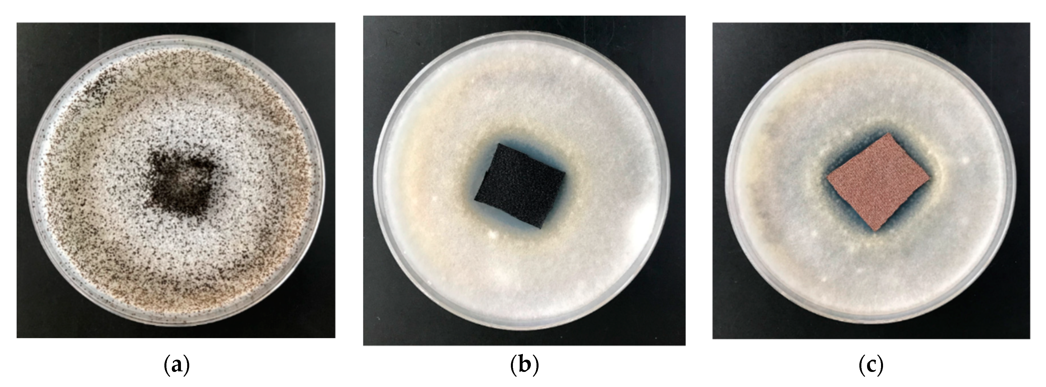 Applsci 10 06990 g009