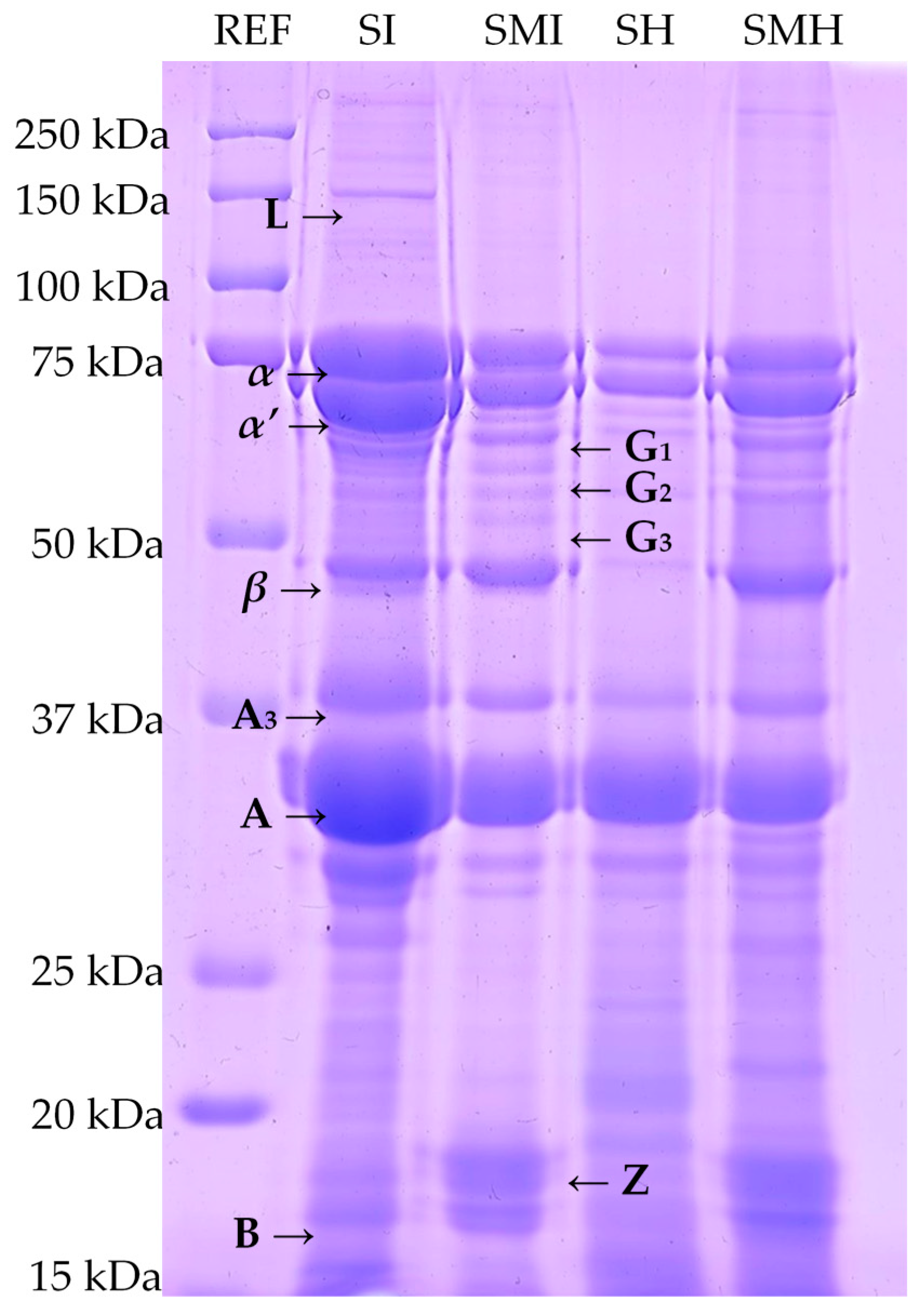 Applsci 10 06998 g003