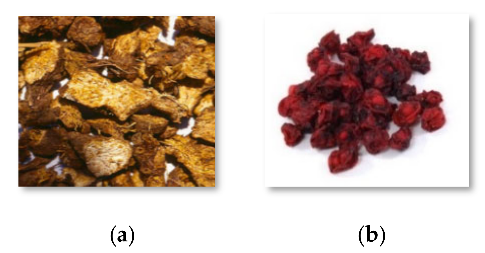 Applsci 10 07006 g001 Applsci 10 07006 g001