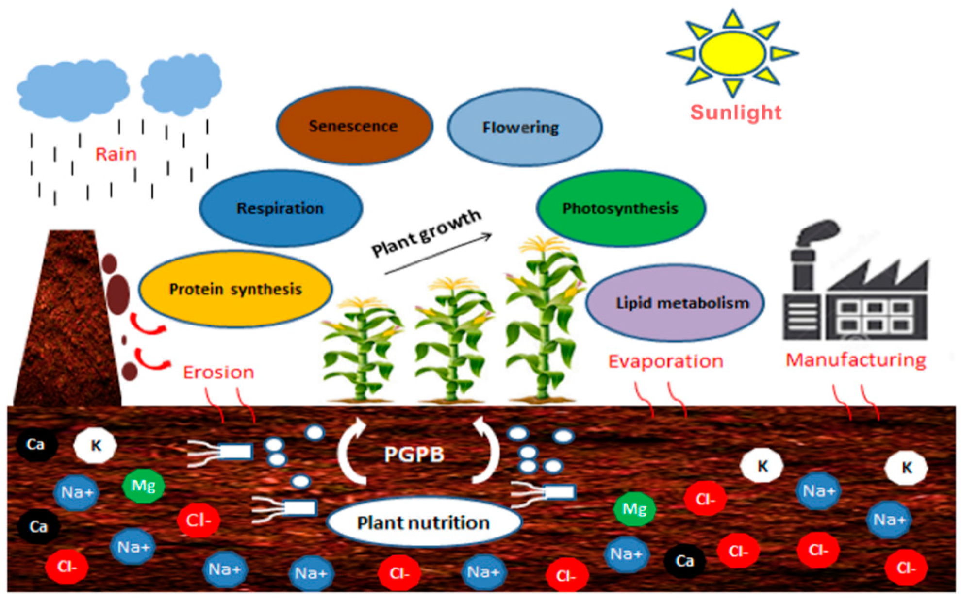 Applied Sciences Free FullText Current Advances in Plant Growth