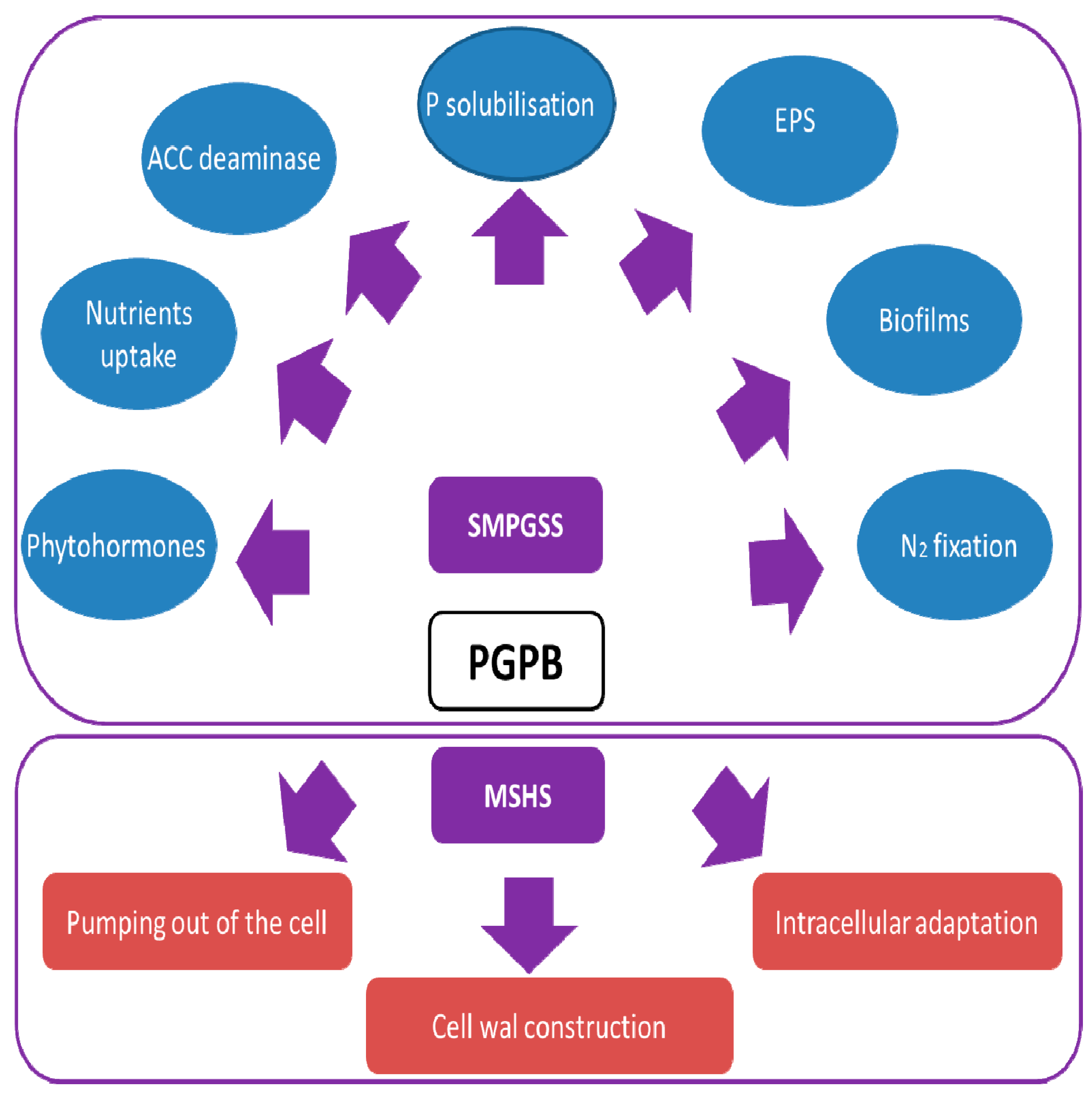 Applsci 10 07025 g002