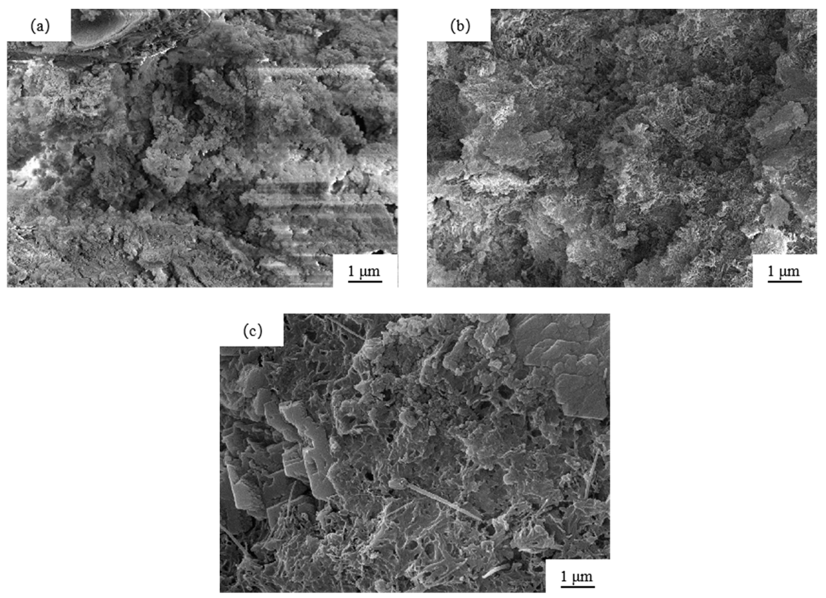 Applsci 10 07026 g007