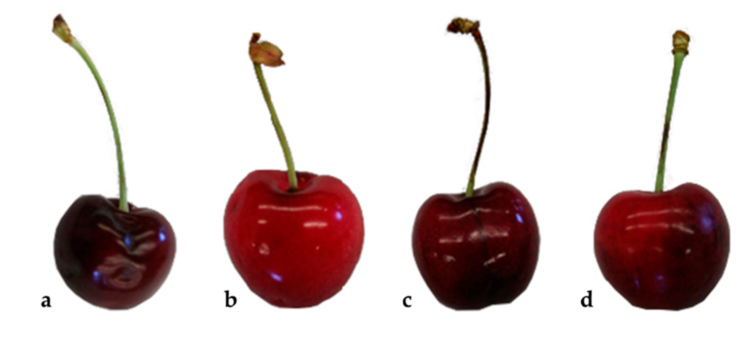 Applsci 10 07053 g001