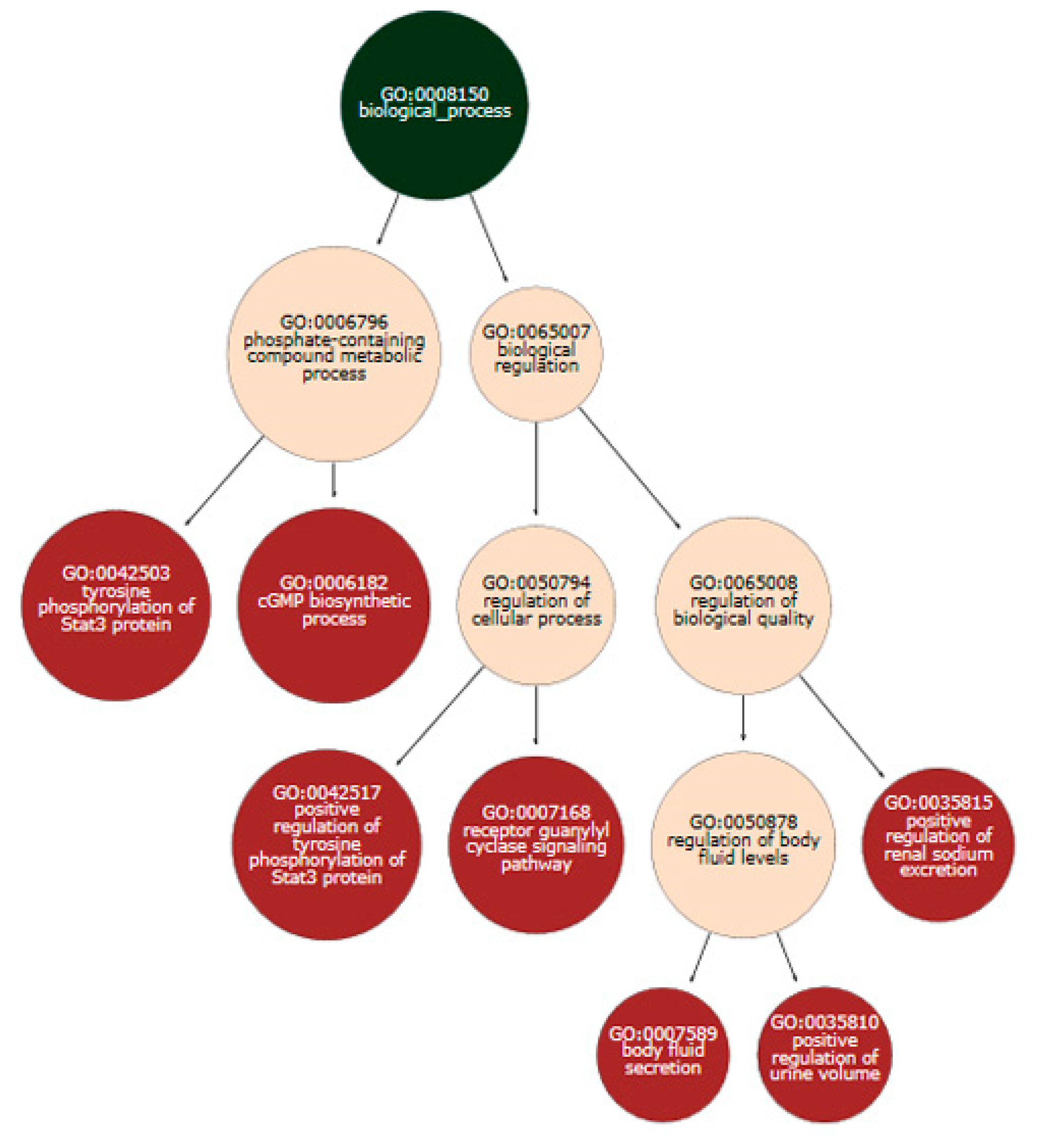 Applsci 10 07077 g004 Applsci 10 07077 g004