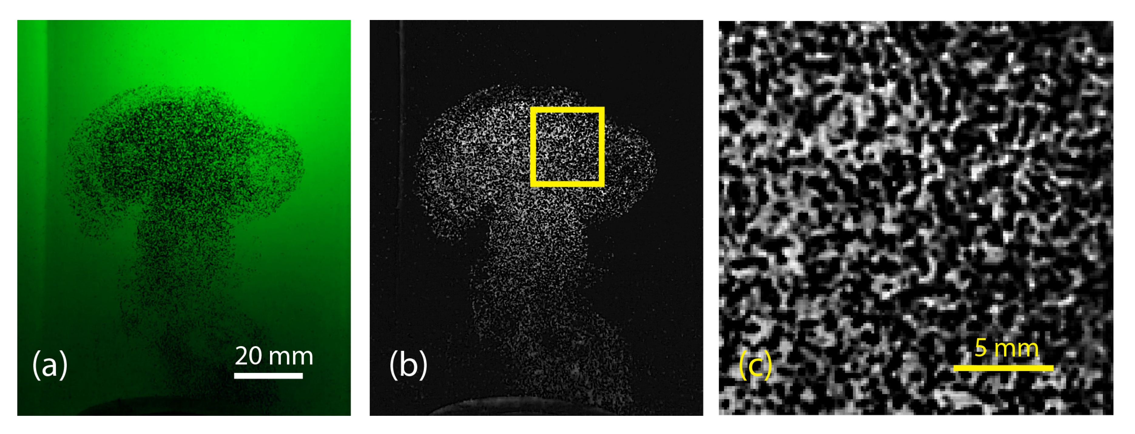 Applsci 10 07094 g003 Applsci 10 07094 g003