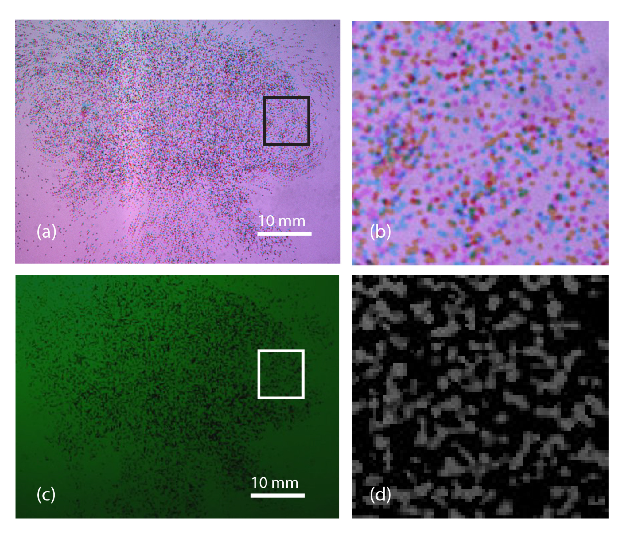 Applsci 10 07094 g008 Applsci 10 07094 g008