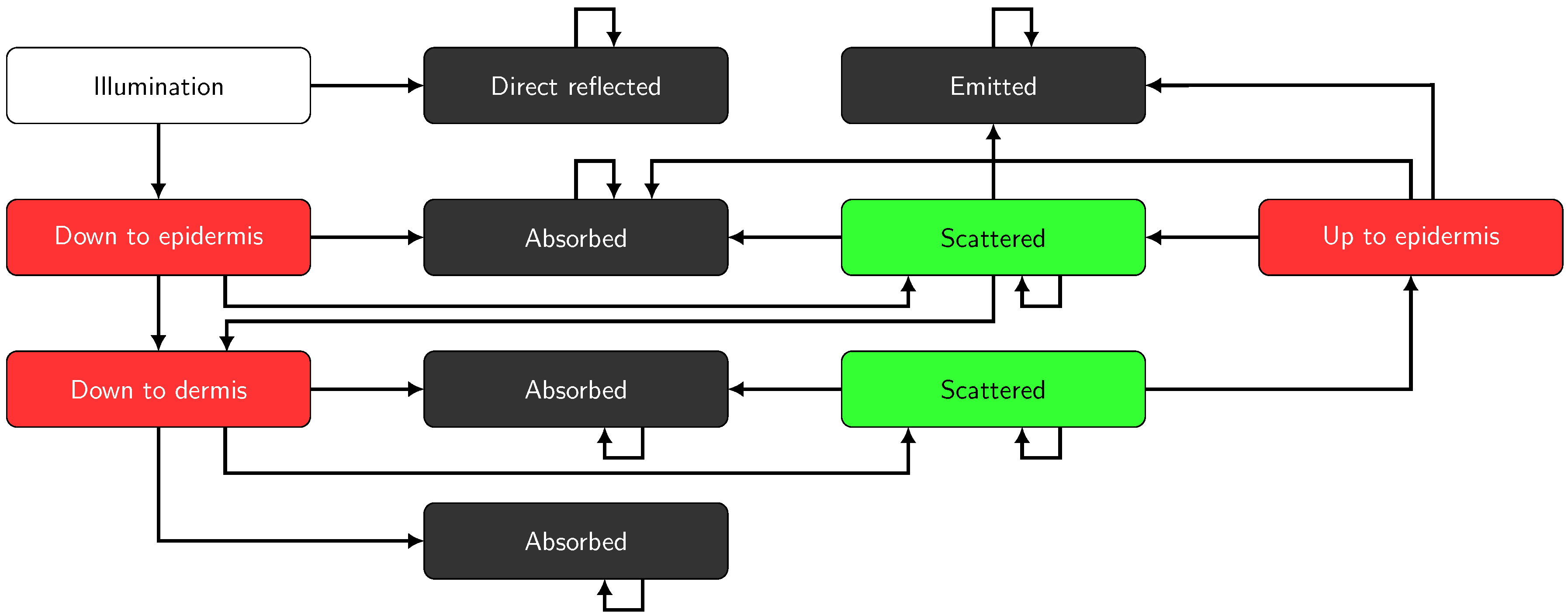Applsci 10 07097 g001