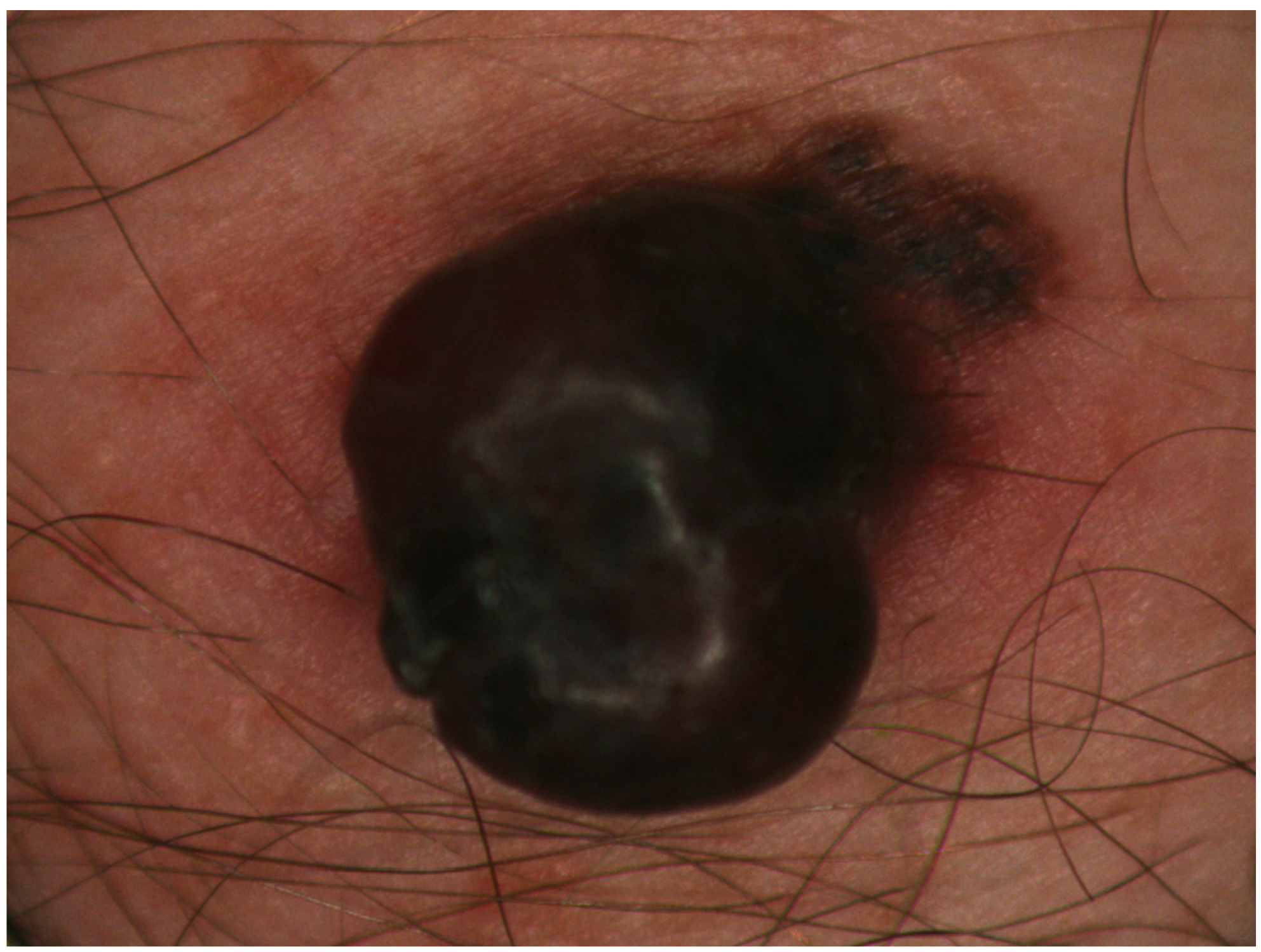 Applsci 10 07097 g006