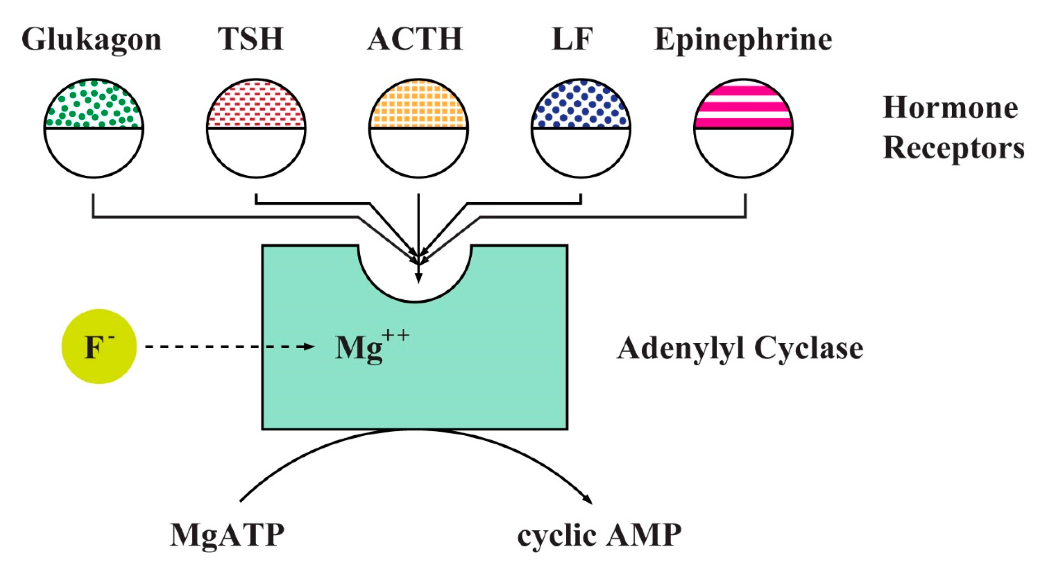 Applsci 10 07100 g002
