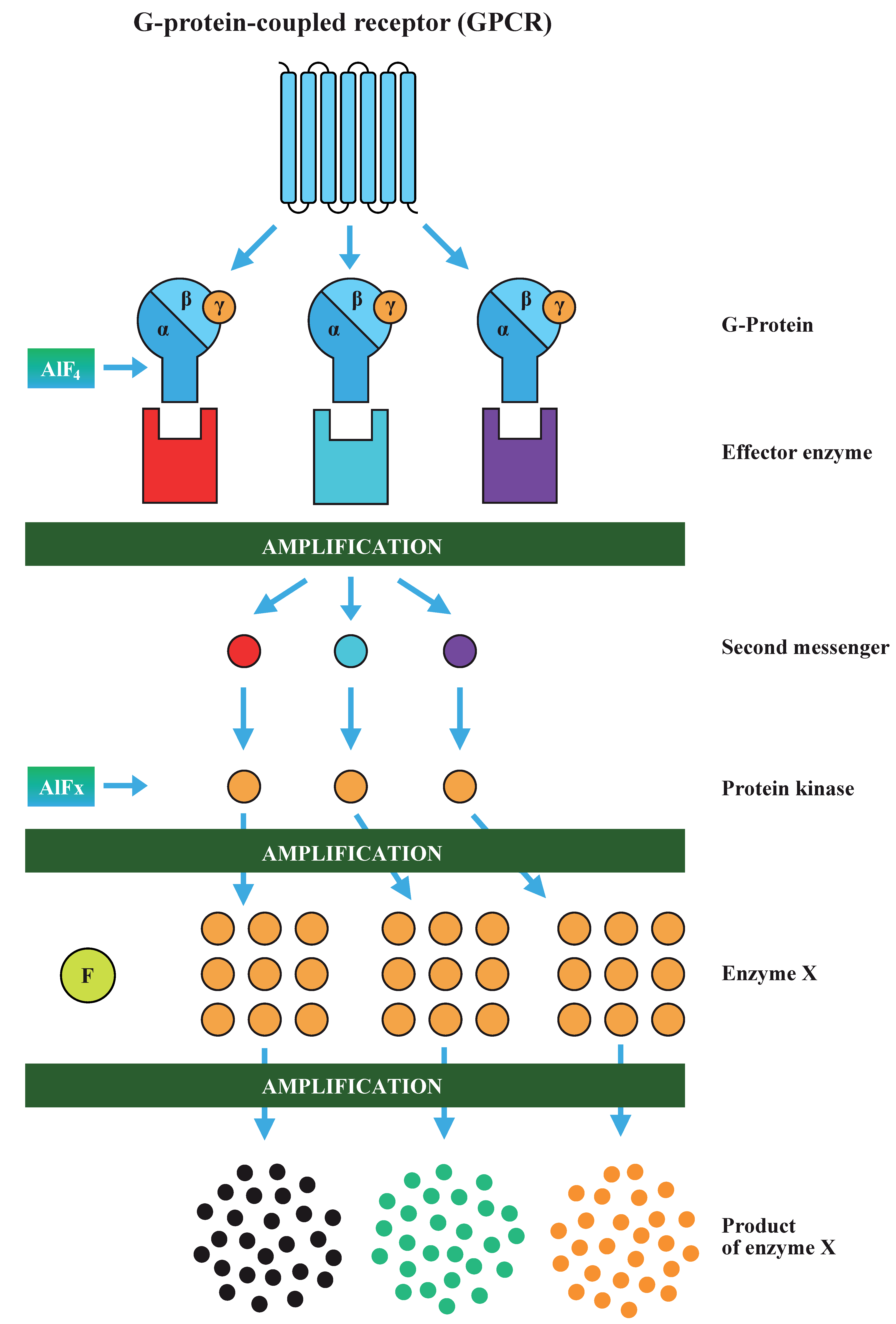 Applsci 10 07100 g003