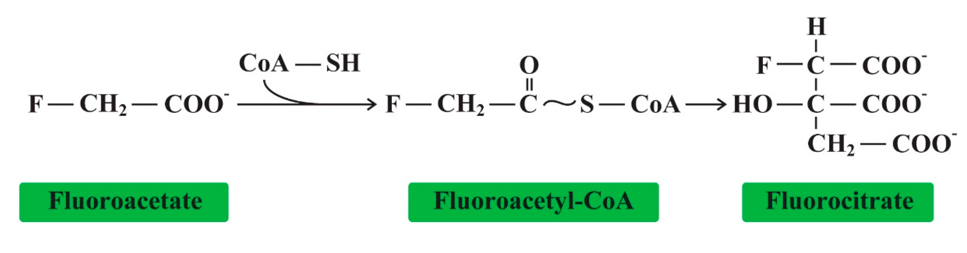 Applsci 10 07100 g006