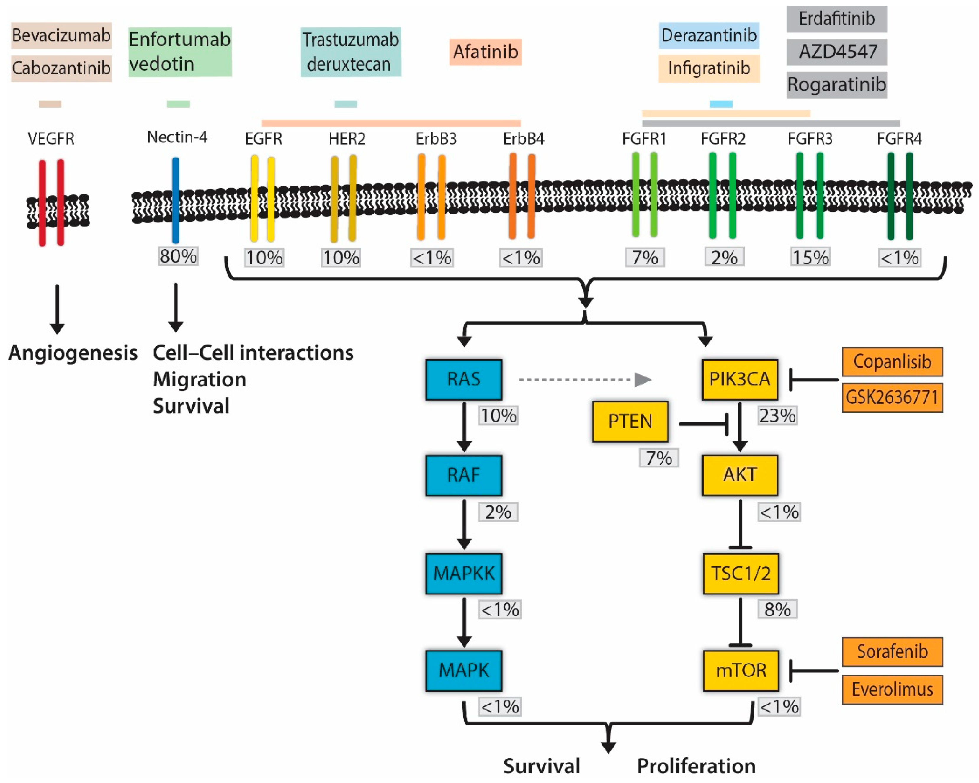 Applsci 10 07102 g001 Applsci 10 07102 g001