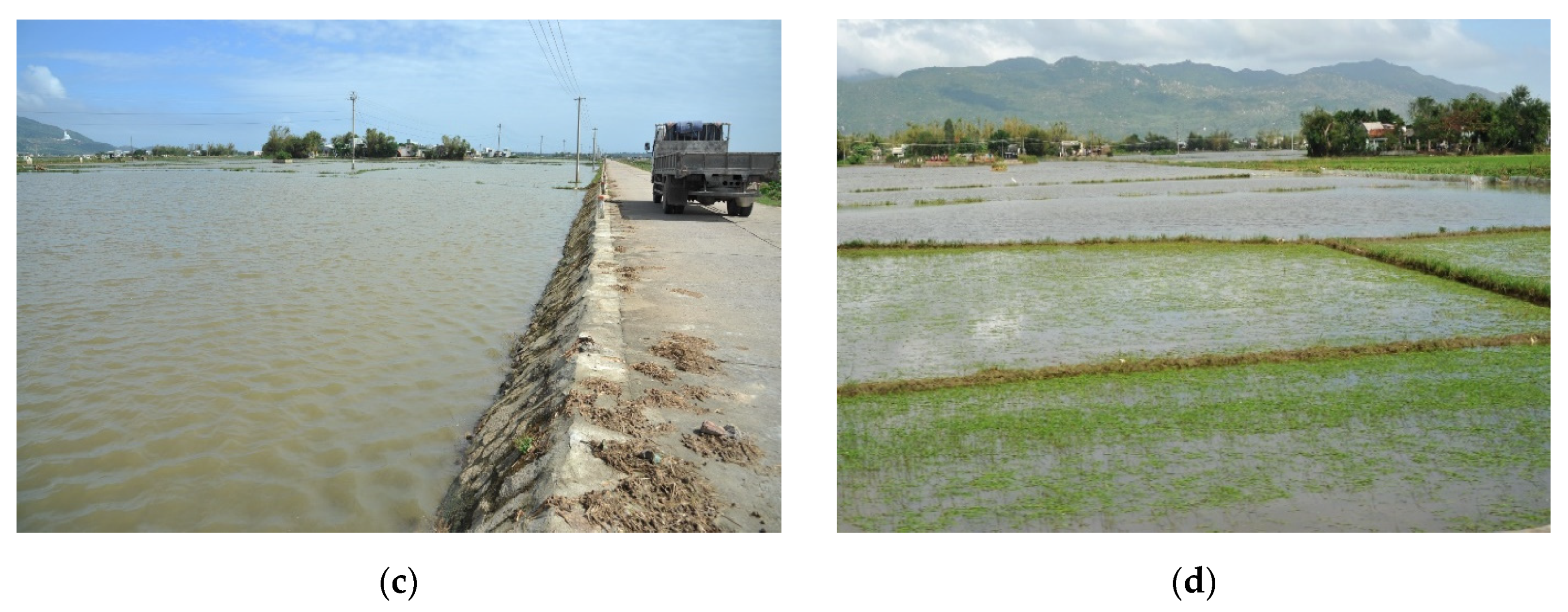 Applsci 10 07142 g004b Applsci 10 07142 g004b