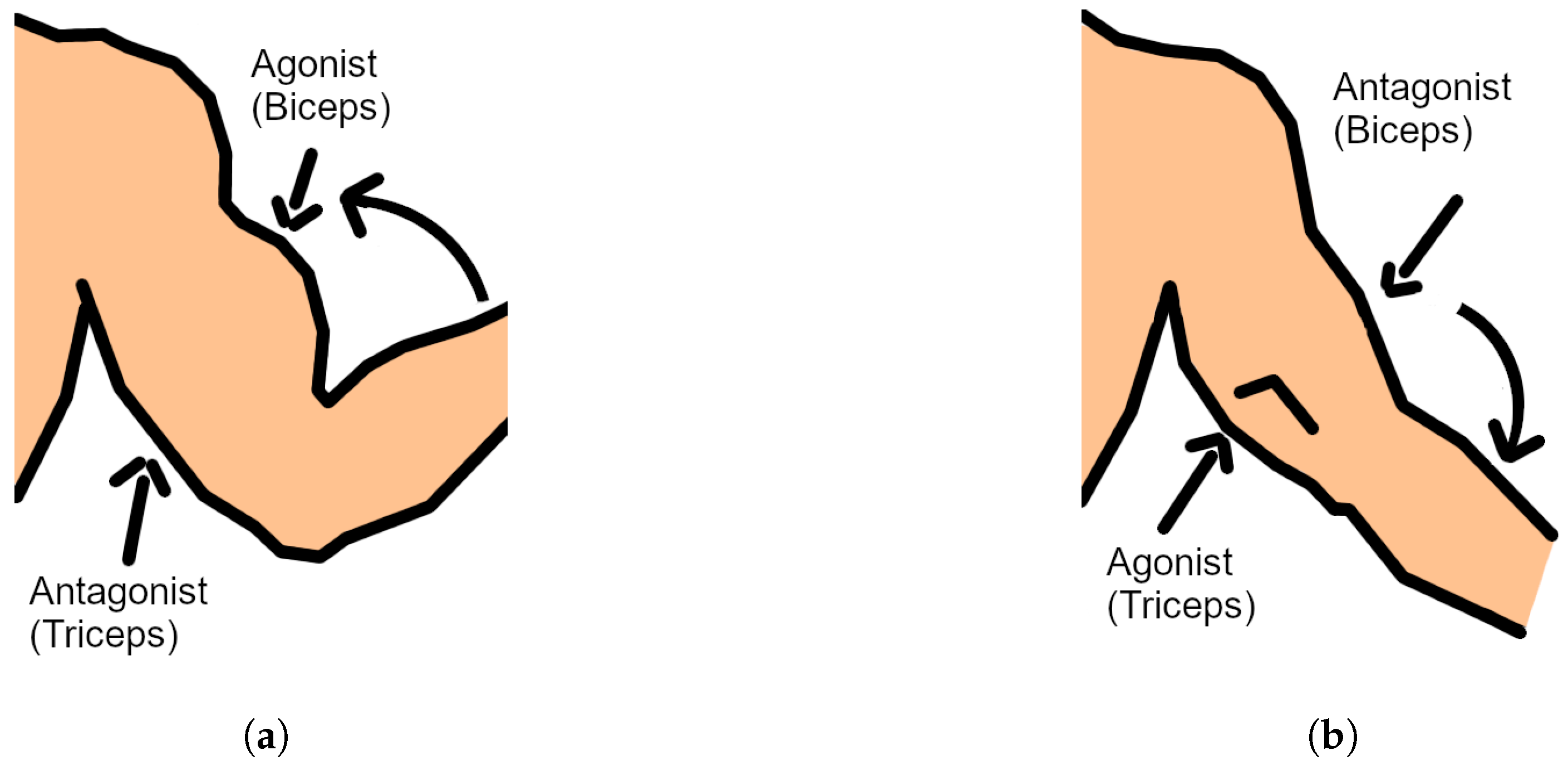 Applsci 10 07146 g001 Applsci 10 07146 g001