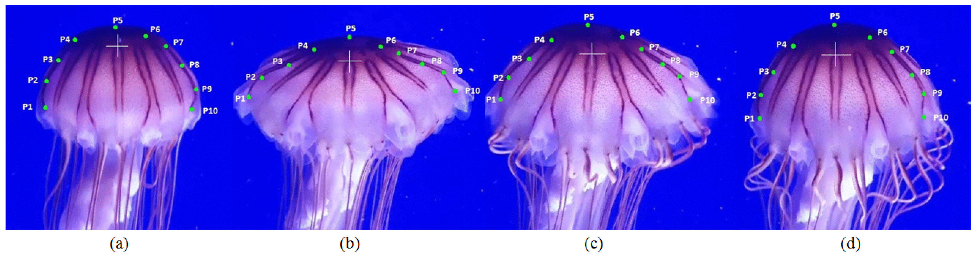 Applsci 10 07160 g002