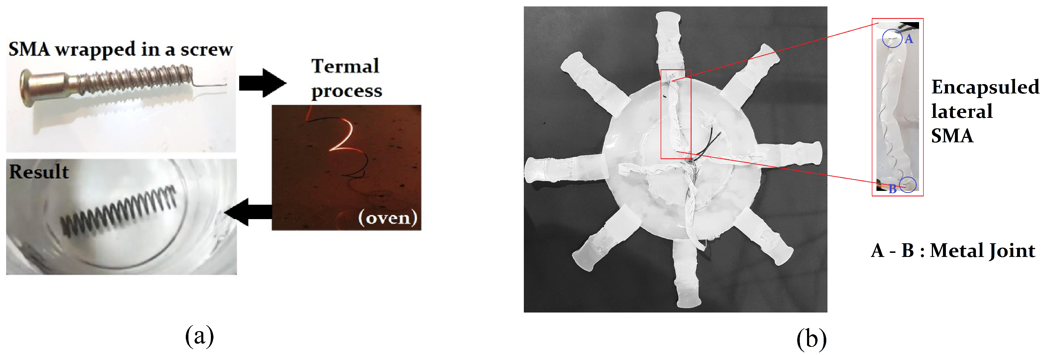 Applsci 10 07160 g004