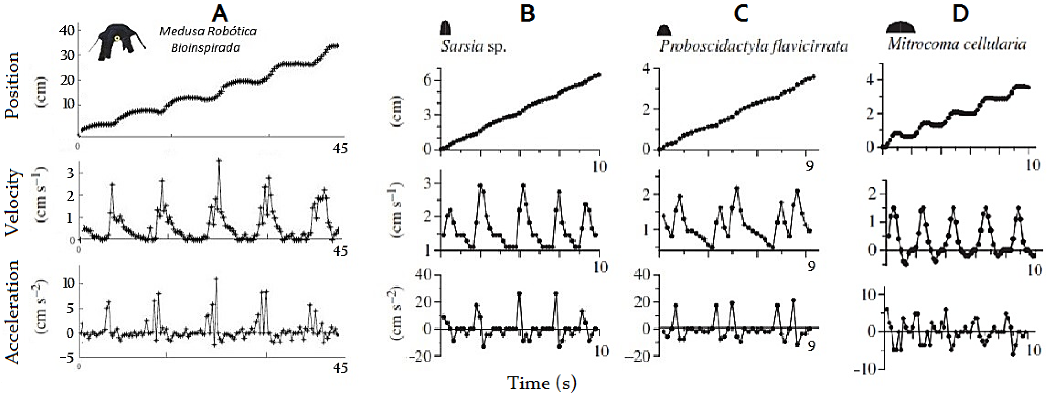 Applsci 10 07160 g017
