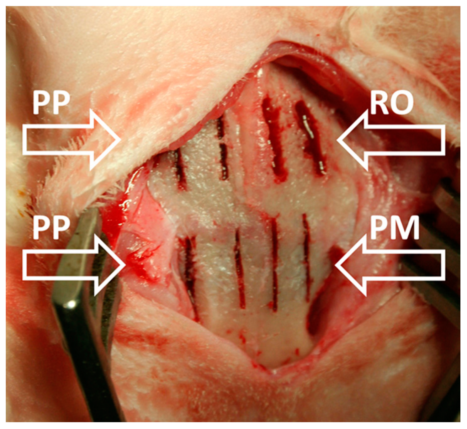 Applsci 10 07165 g001 Applsci 10 07165 g001