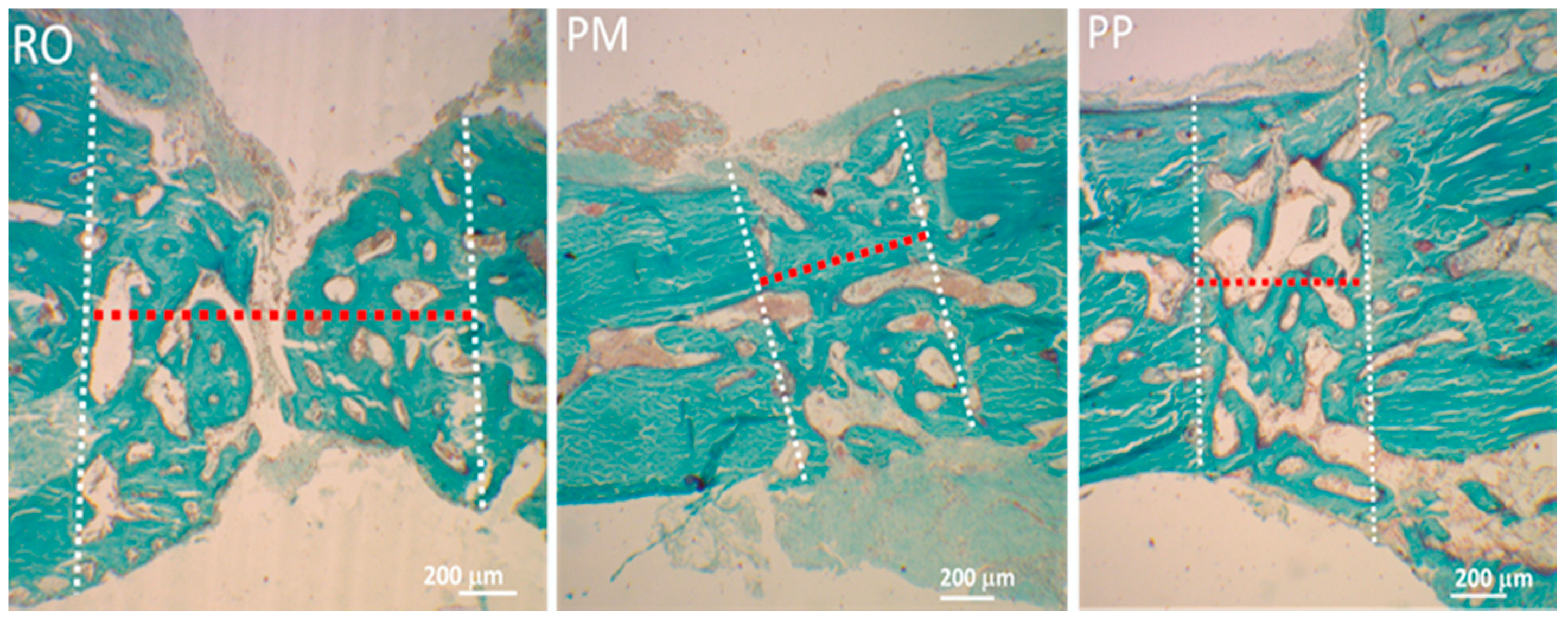 Applsci 10 07165 g002 Applsci 10 07165 g002