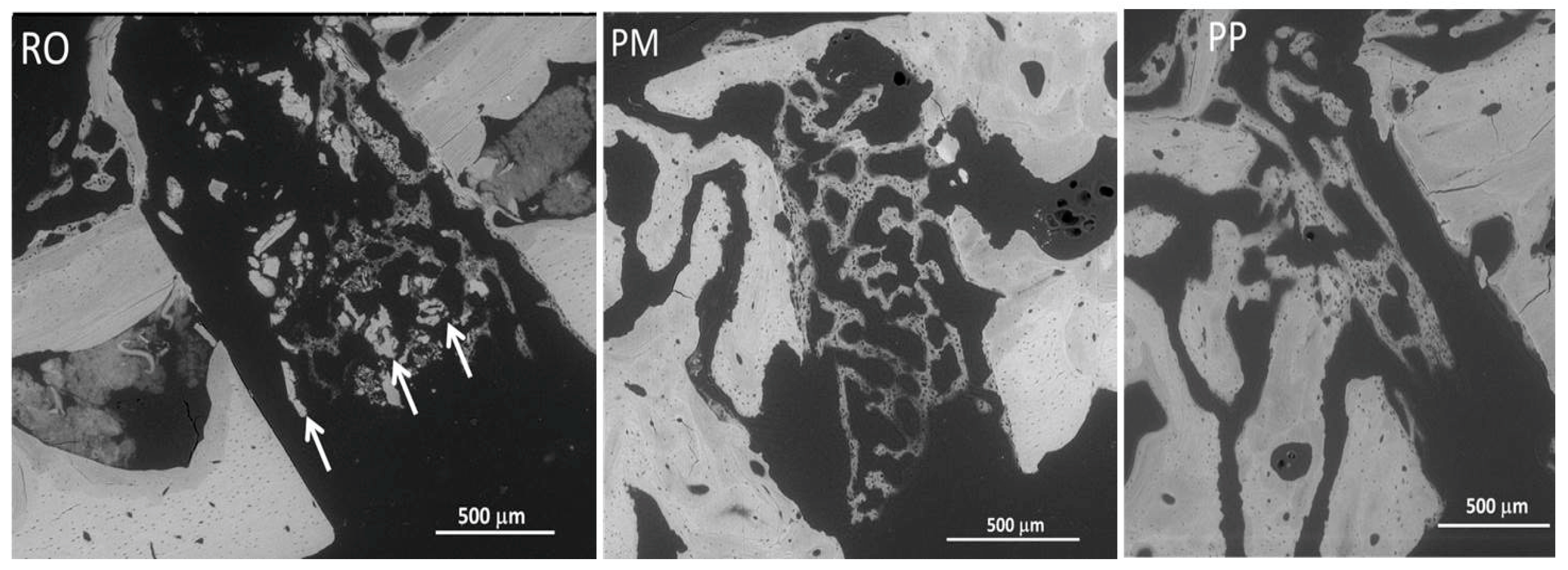 Applsci 10 07165 g005 Applsci 10 07165 g005