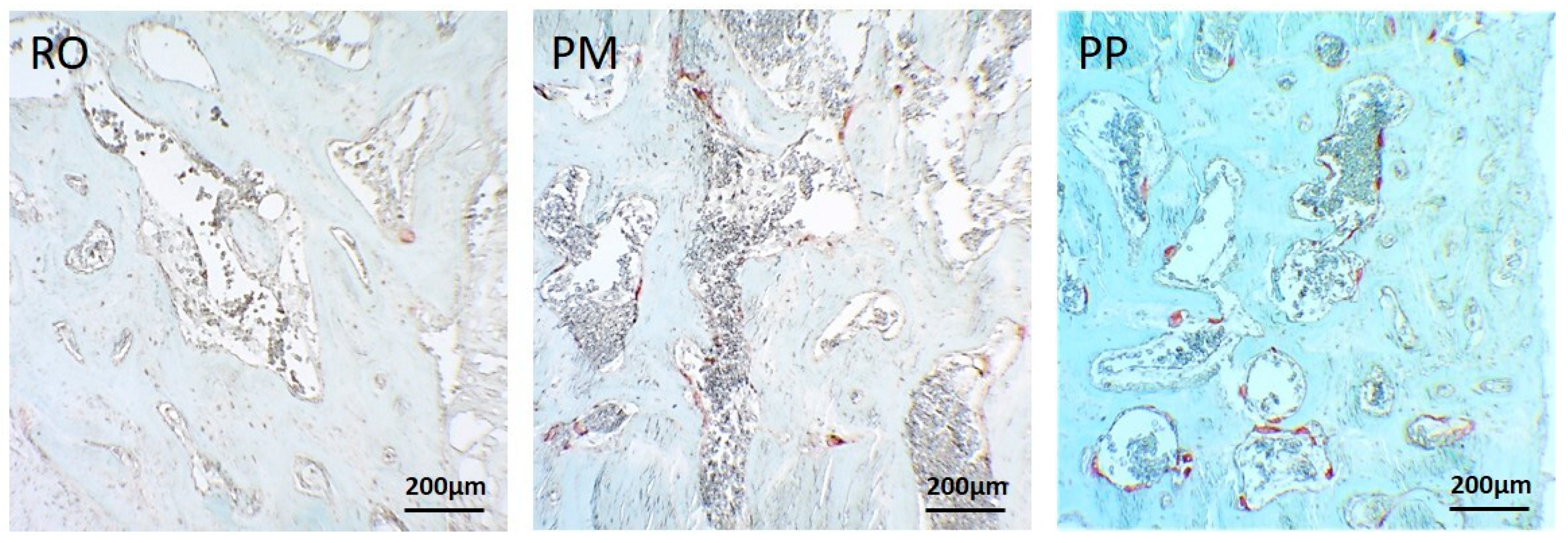 Applsci 10 07165 g006 Applsci 10 07165 g006