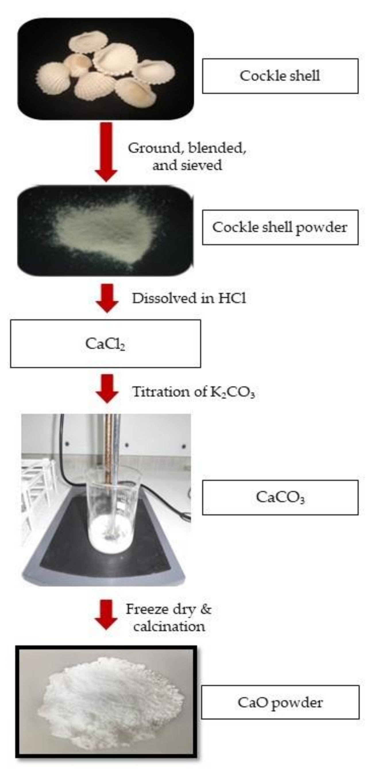 Applsci 10 07170 g001 Applsci 10 07170 g001