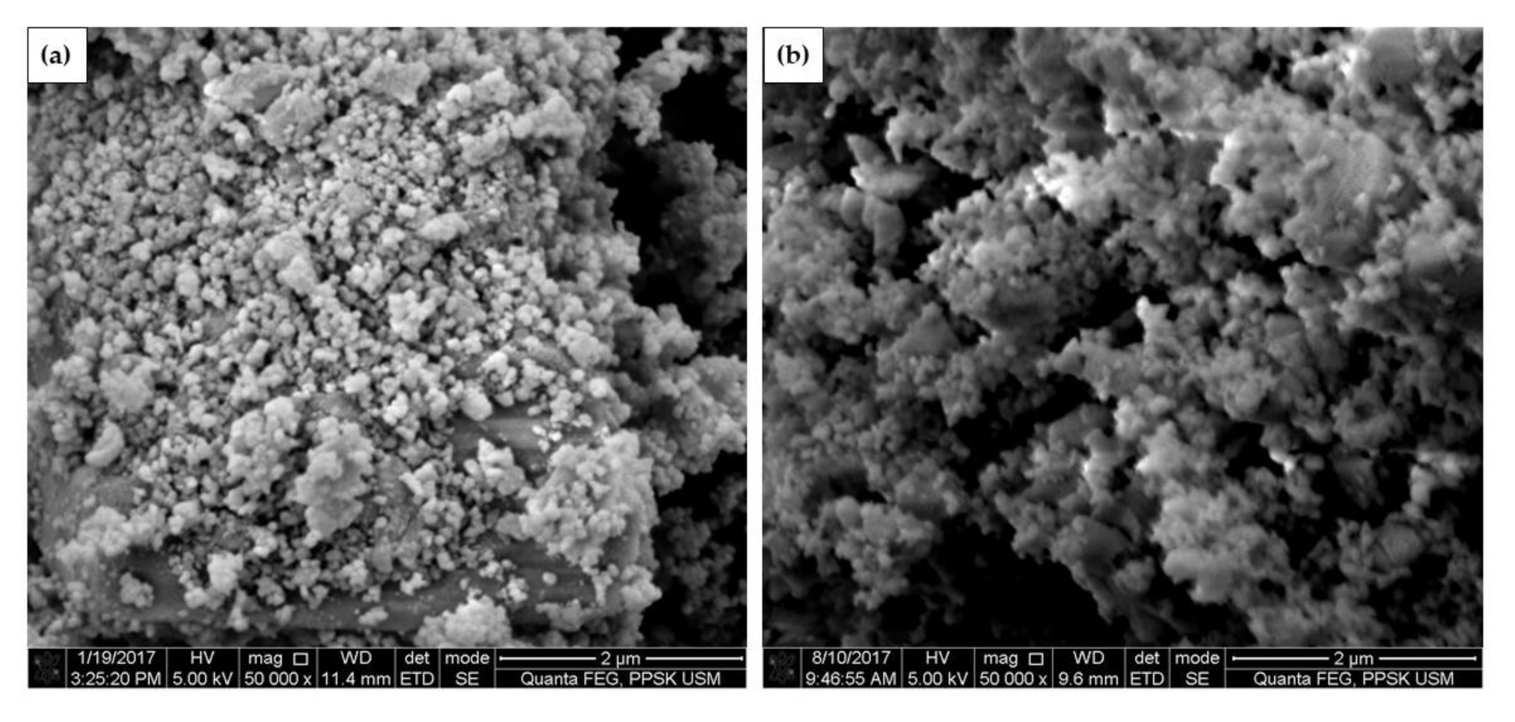 Applsci 10 07170 g012 Applsci 10 07170 g012