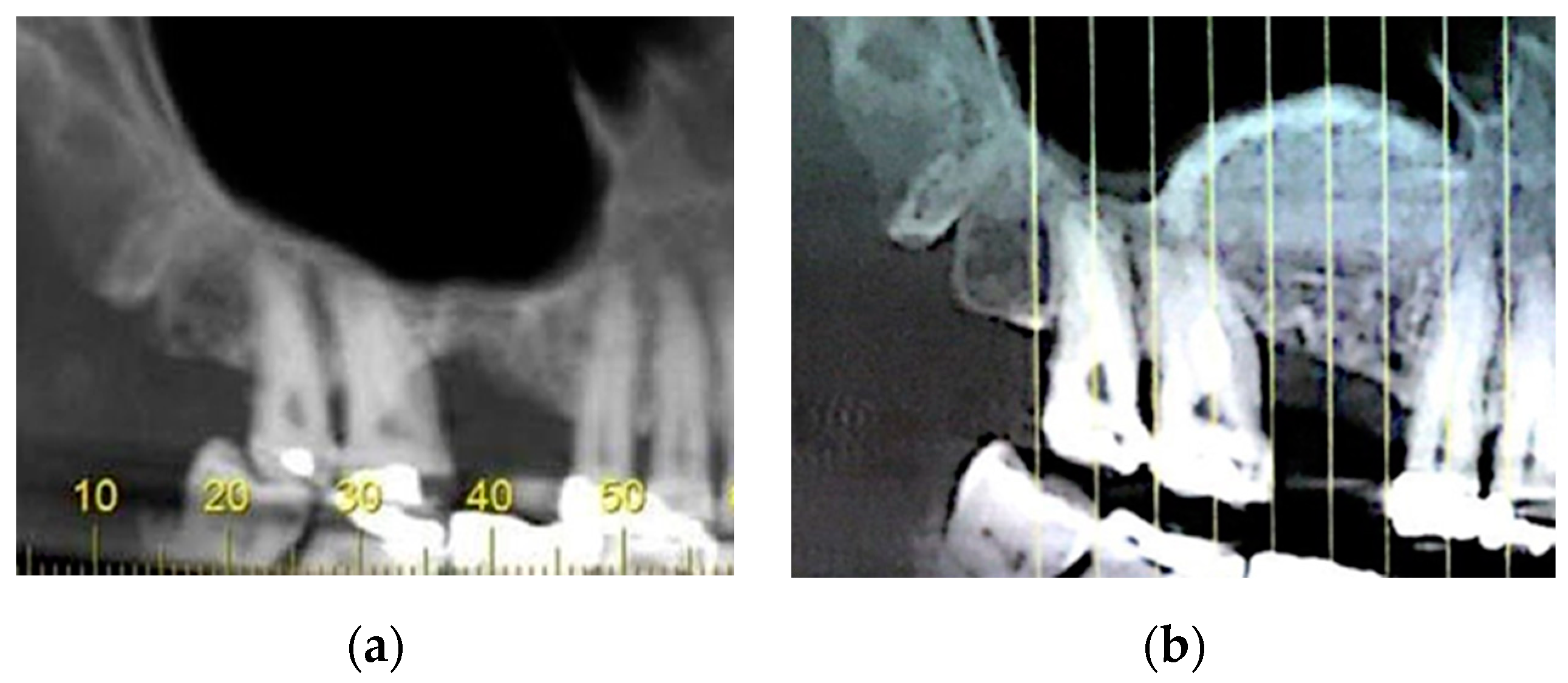 Applsci 10 07185 g001 Applsci 10 07185 g001