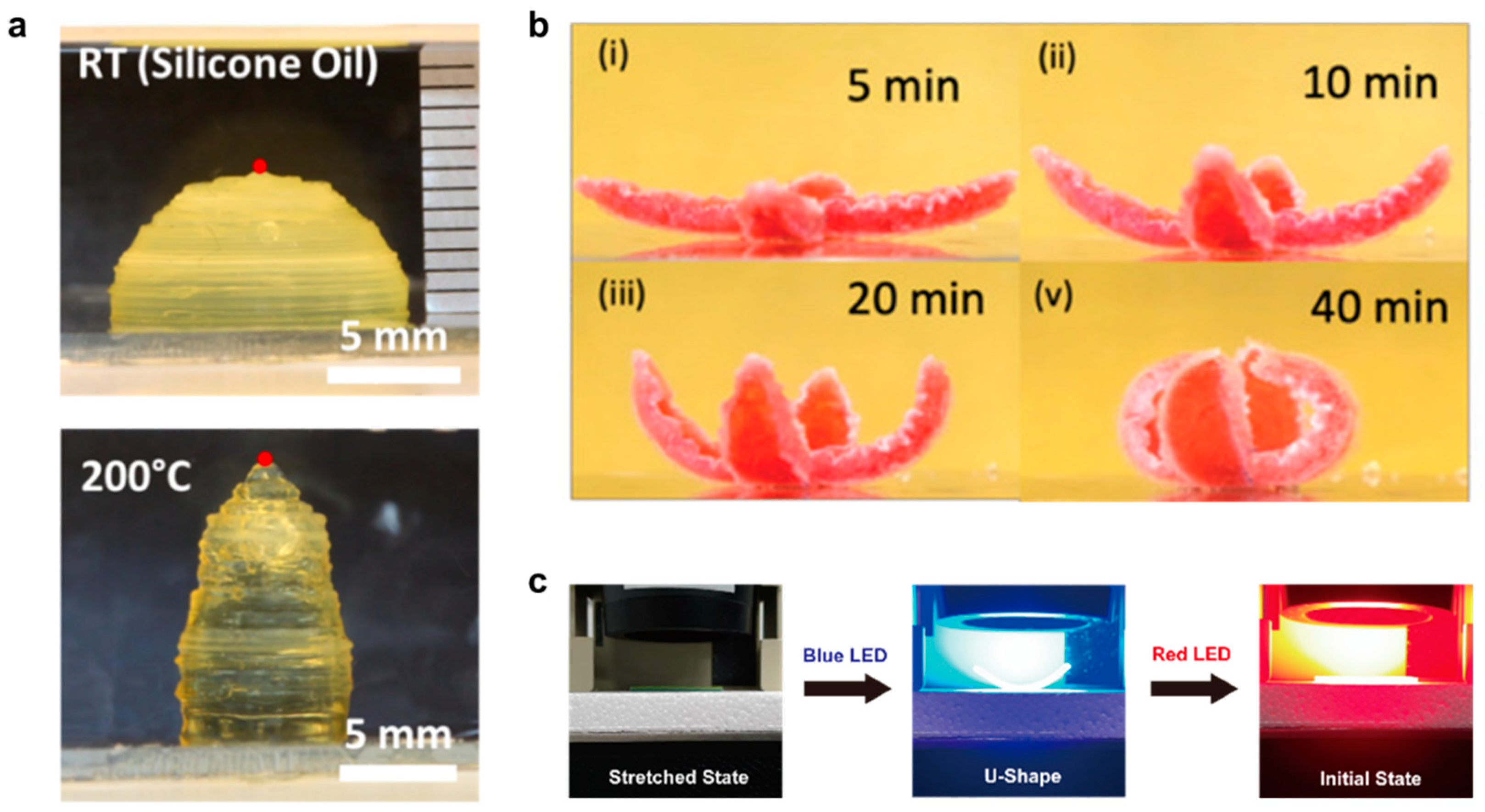 Applsci 10 07254 g003 Applsci 10 07254 g003