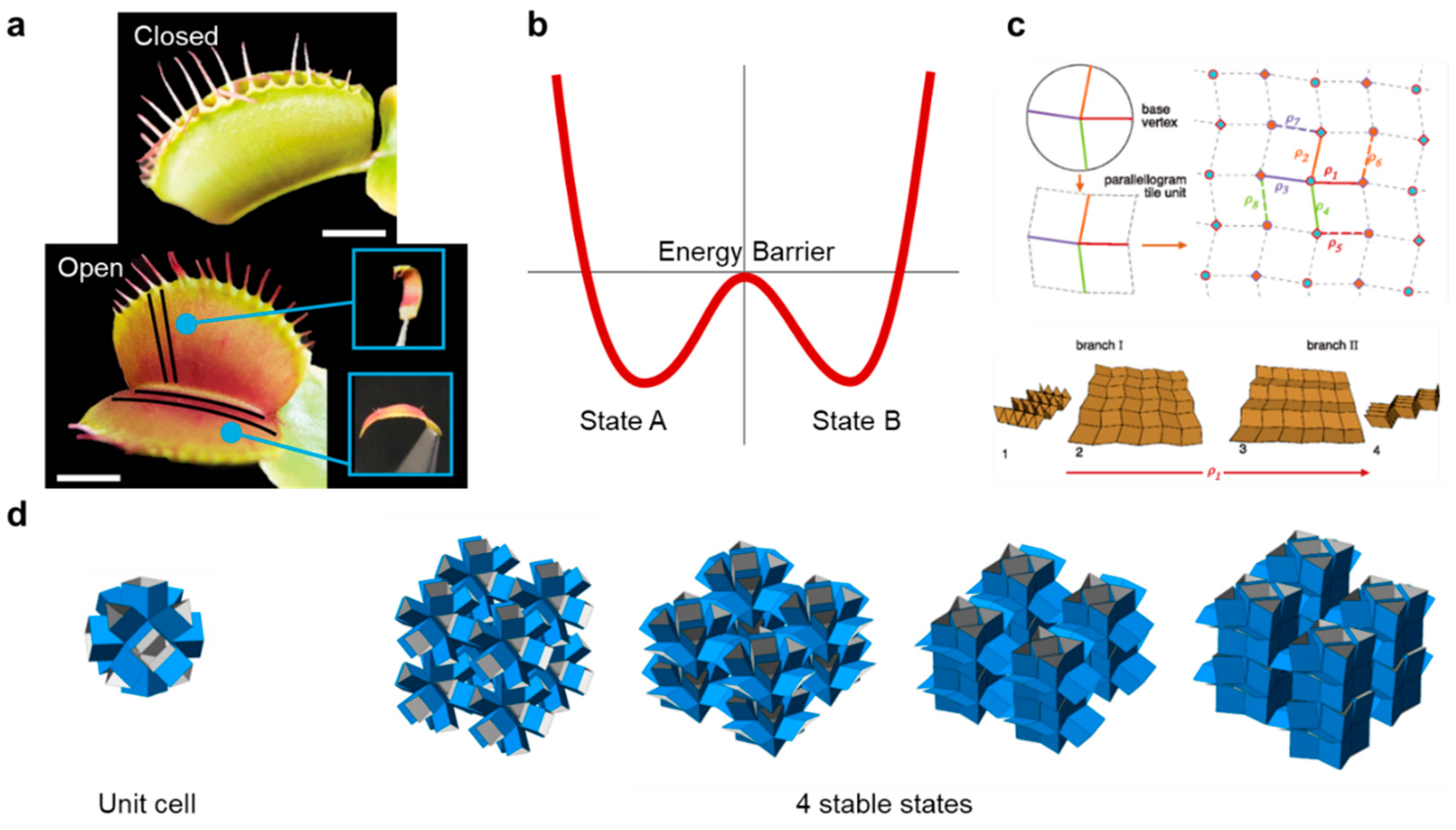 Applsci 10 07254 g004 Applsci 10 07254 g004