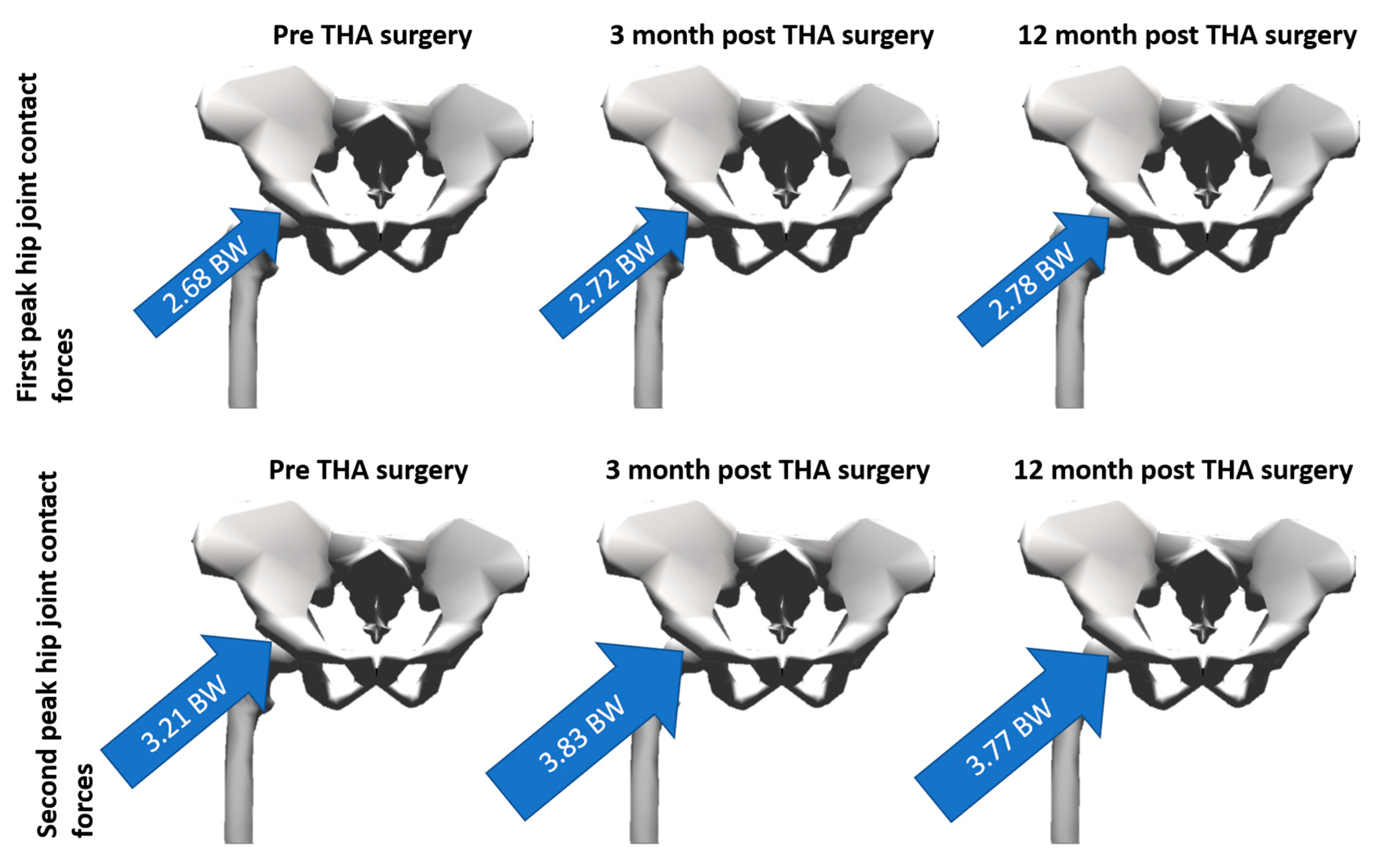Applsci 10 07255 g004 Applsci 10 07255 g004
