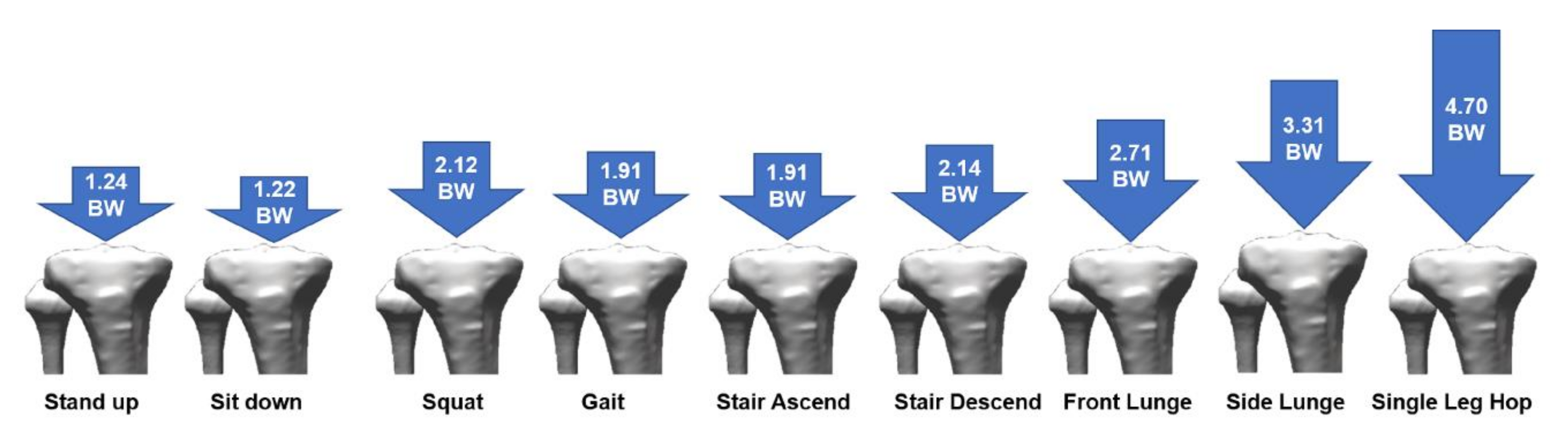 Applsci 10 07255 g005 Applsci 10 07255 g005