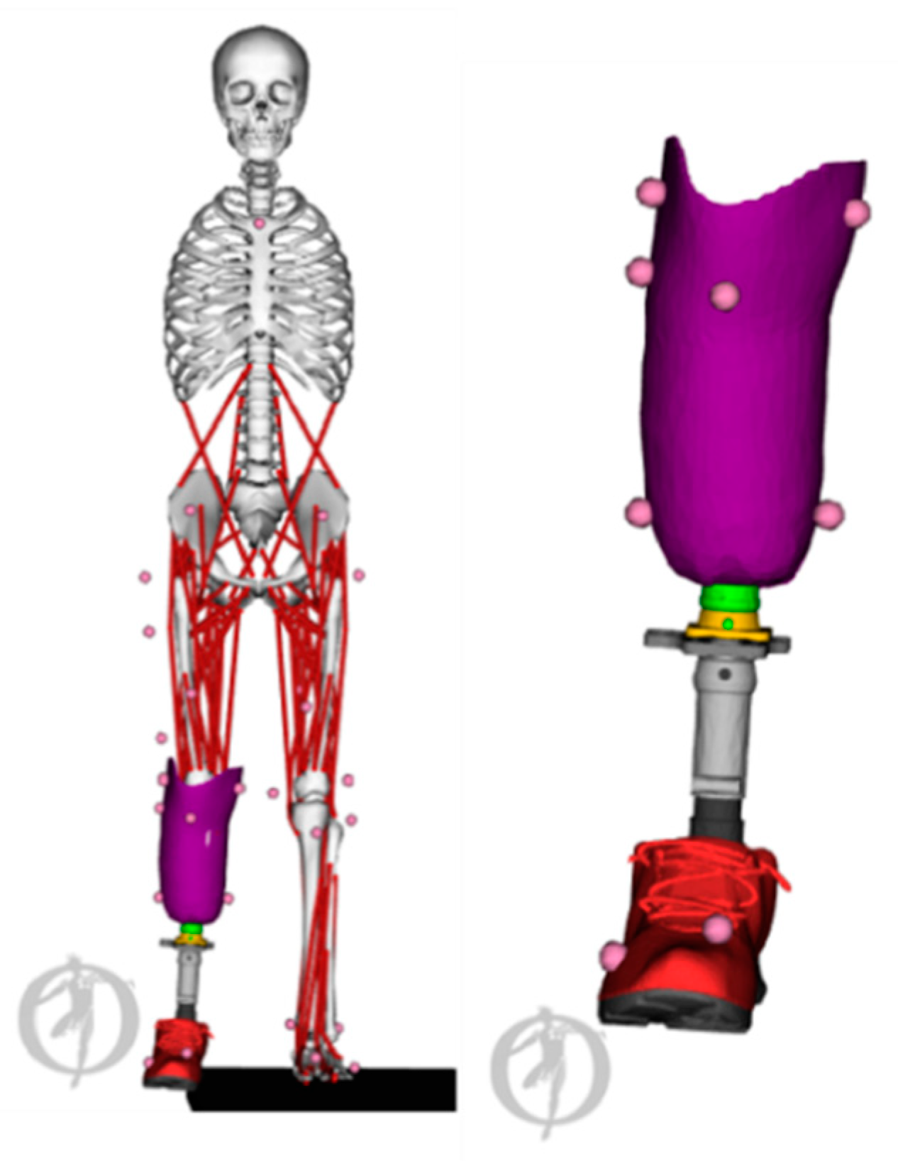 Applsci 10 07255 g006 Applsci 10 07255 g006