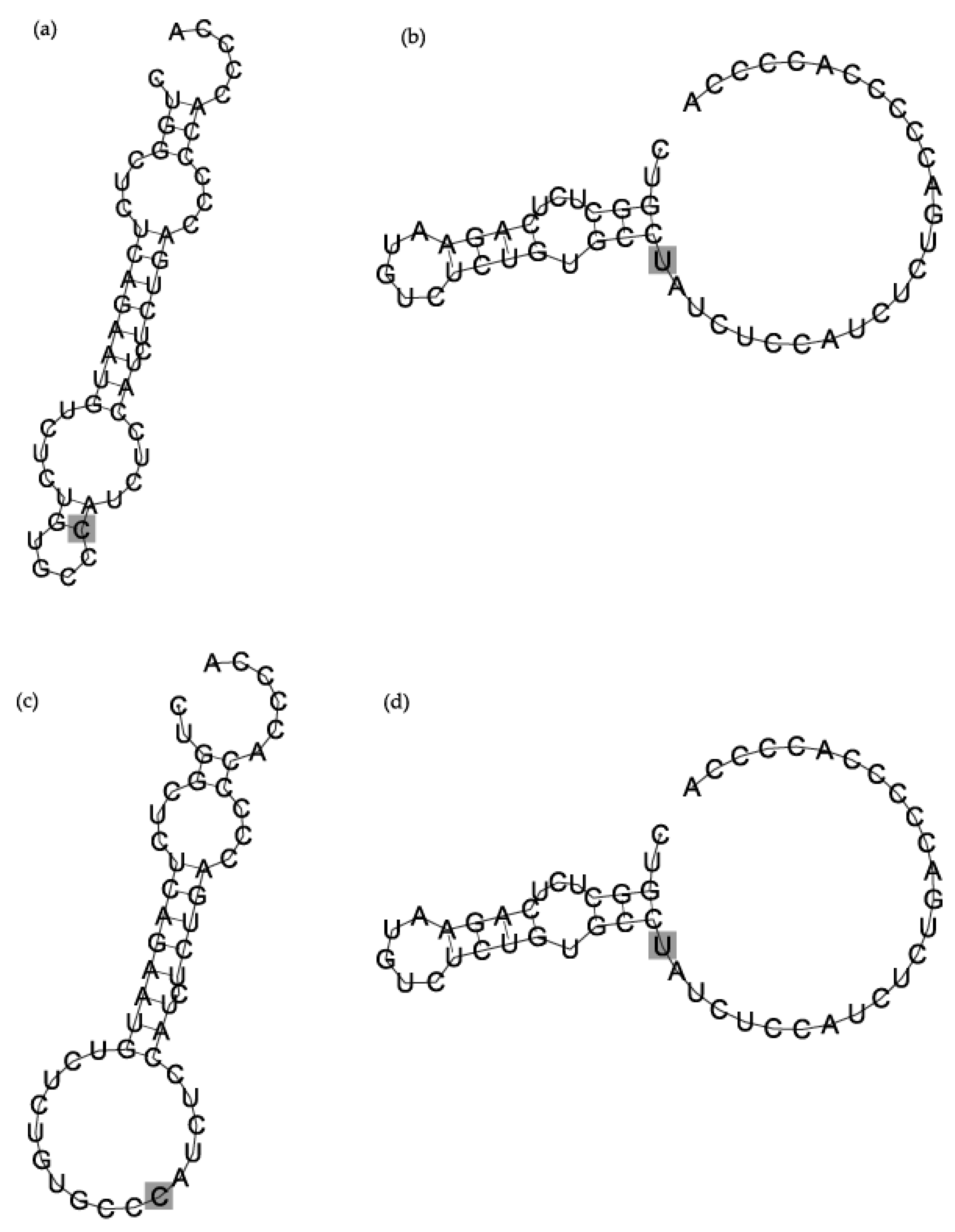 Applsci 10 07275 g002 Applsci 10 07275 g002