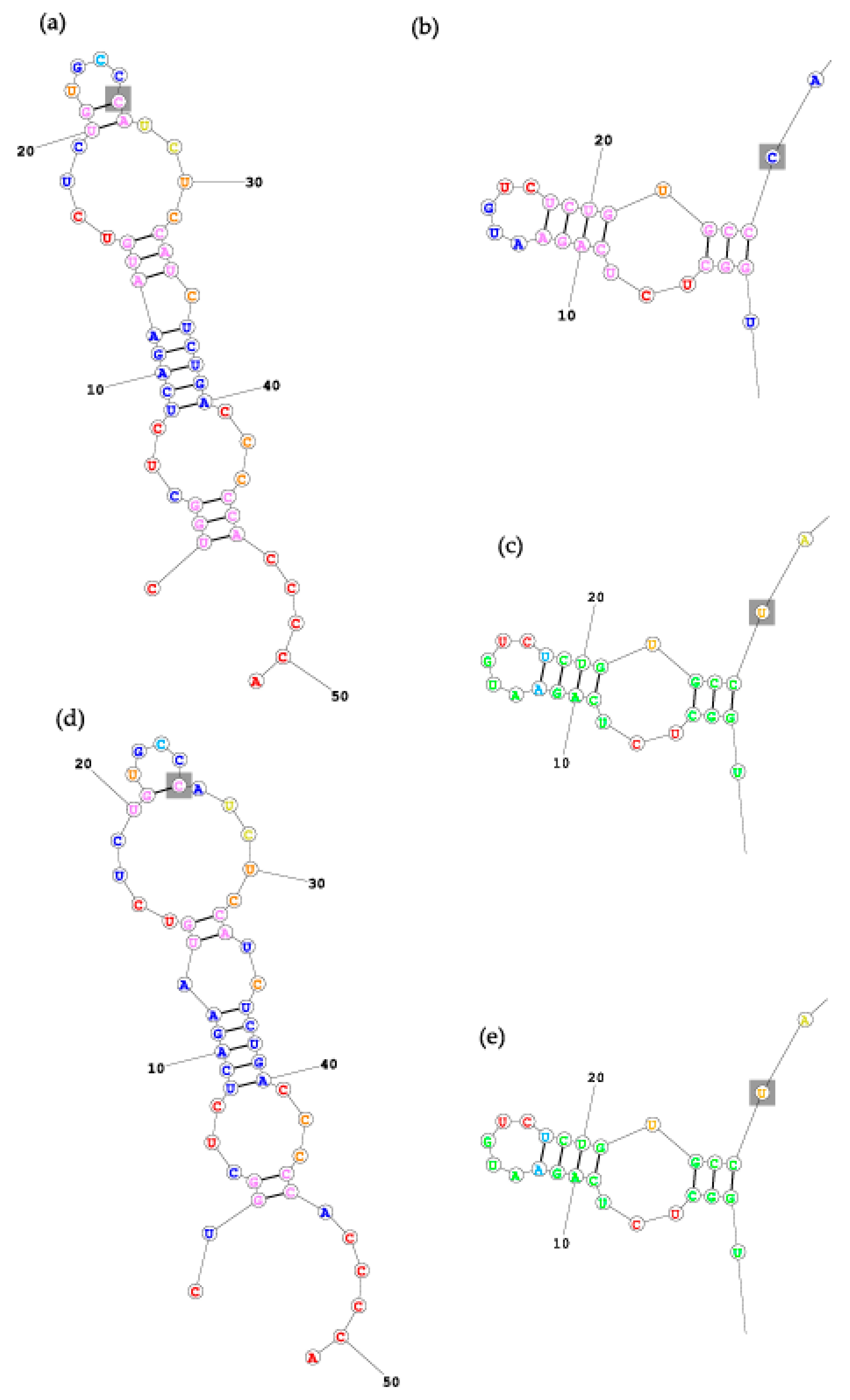 Applsci 10 07275 g003 Applsci 10 07275 g003