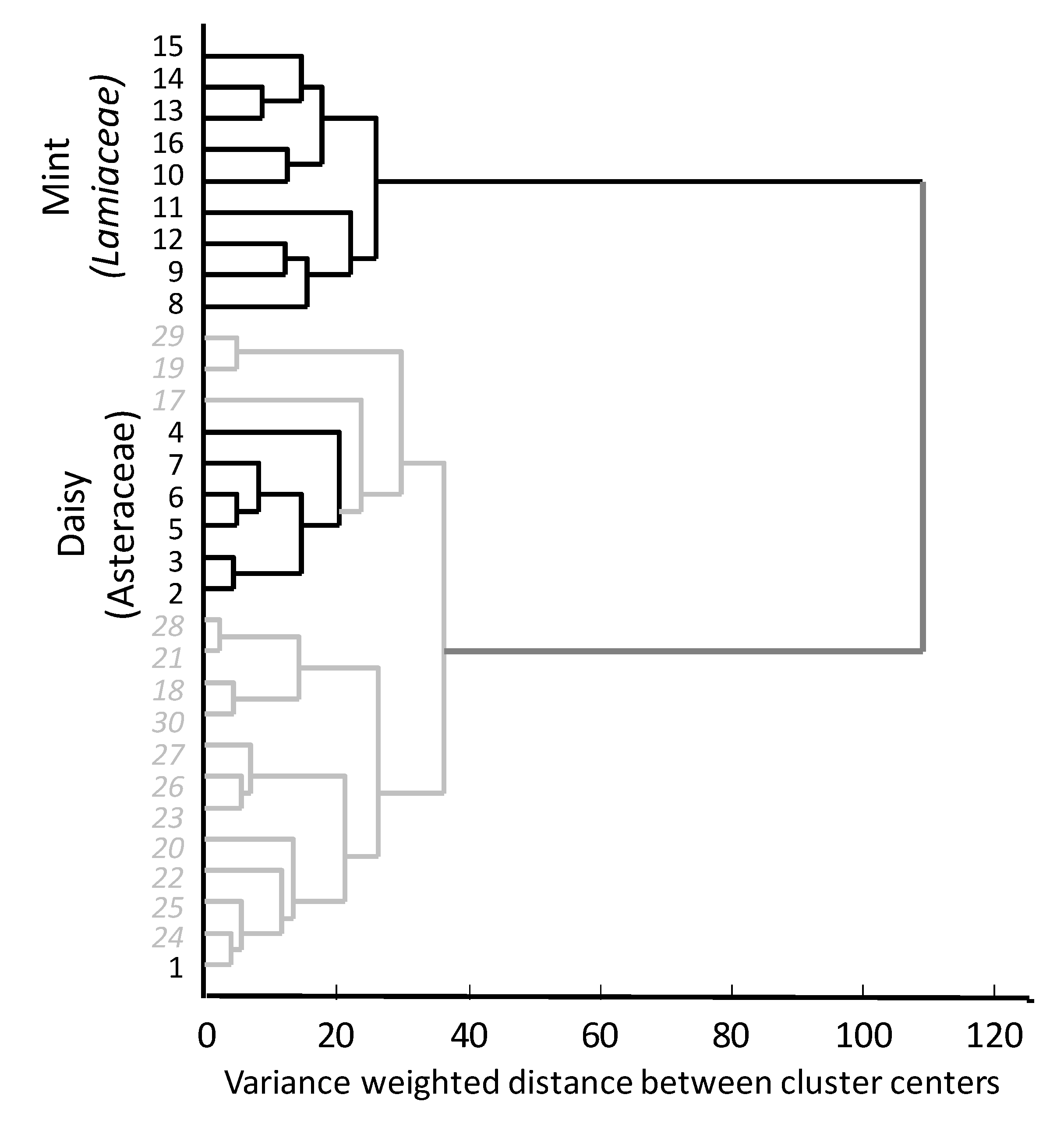 Applsci 10 07294 g005
