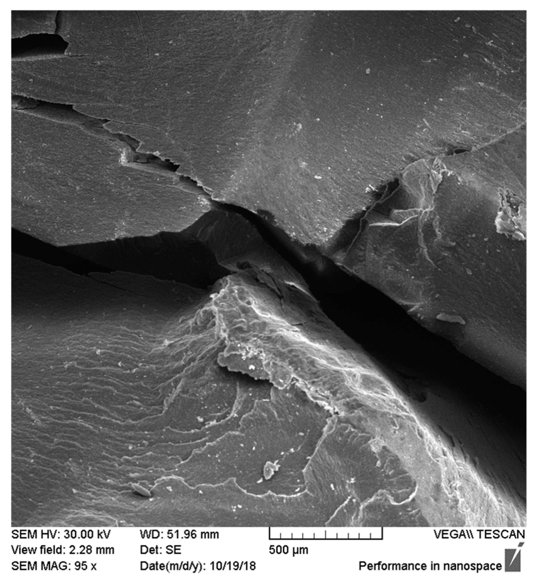 Applsci 10 07296 g006