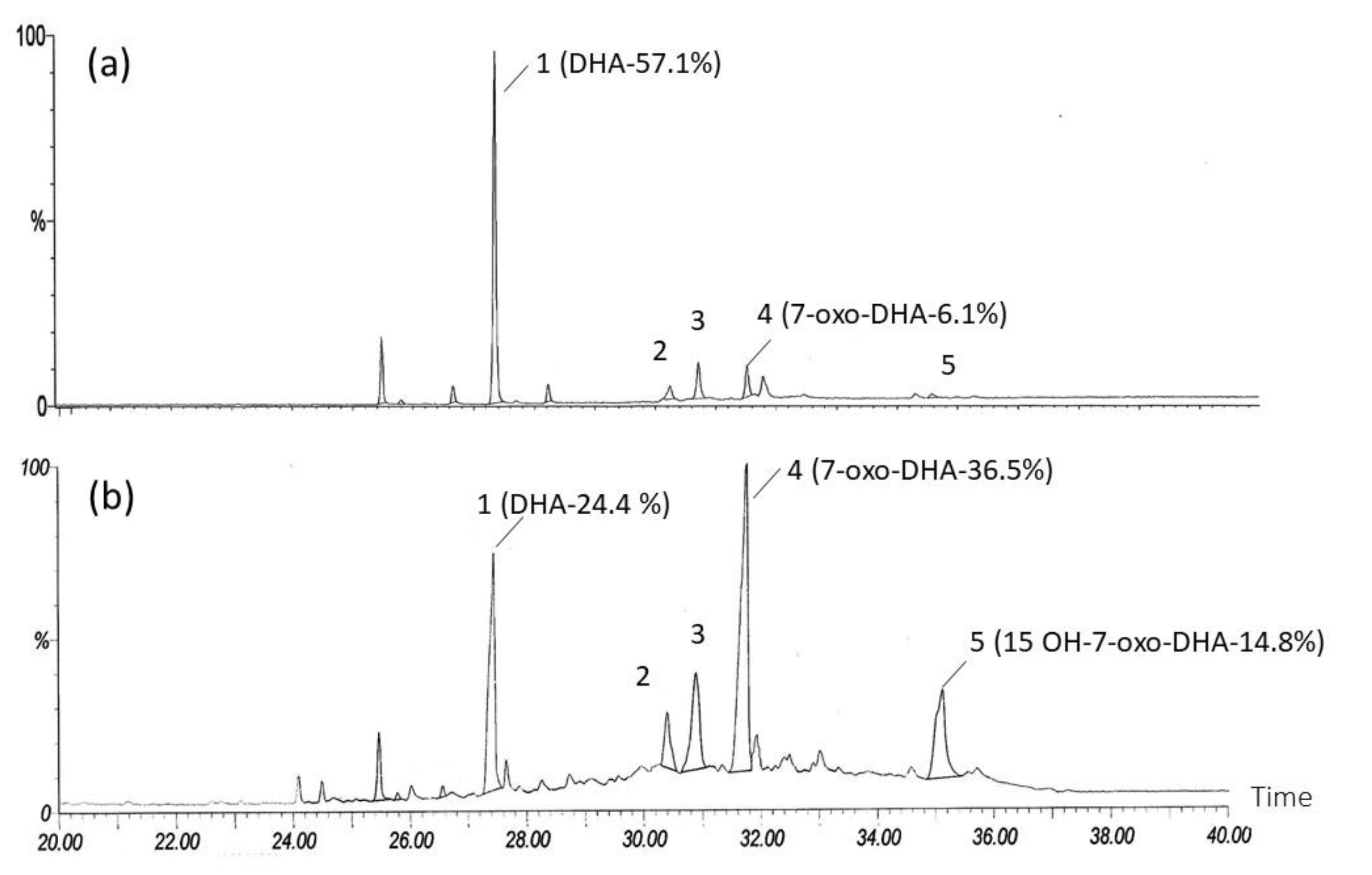 Applsci 10 07319 g003