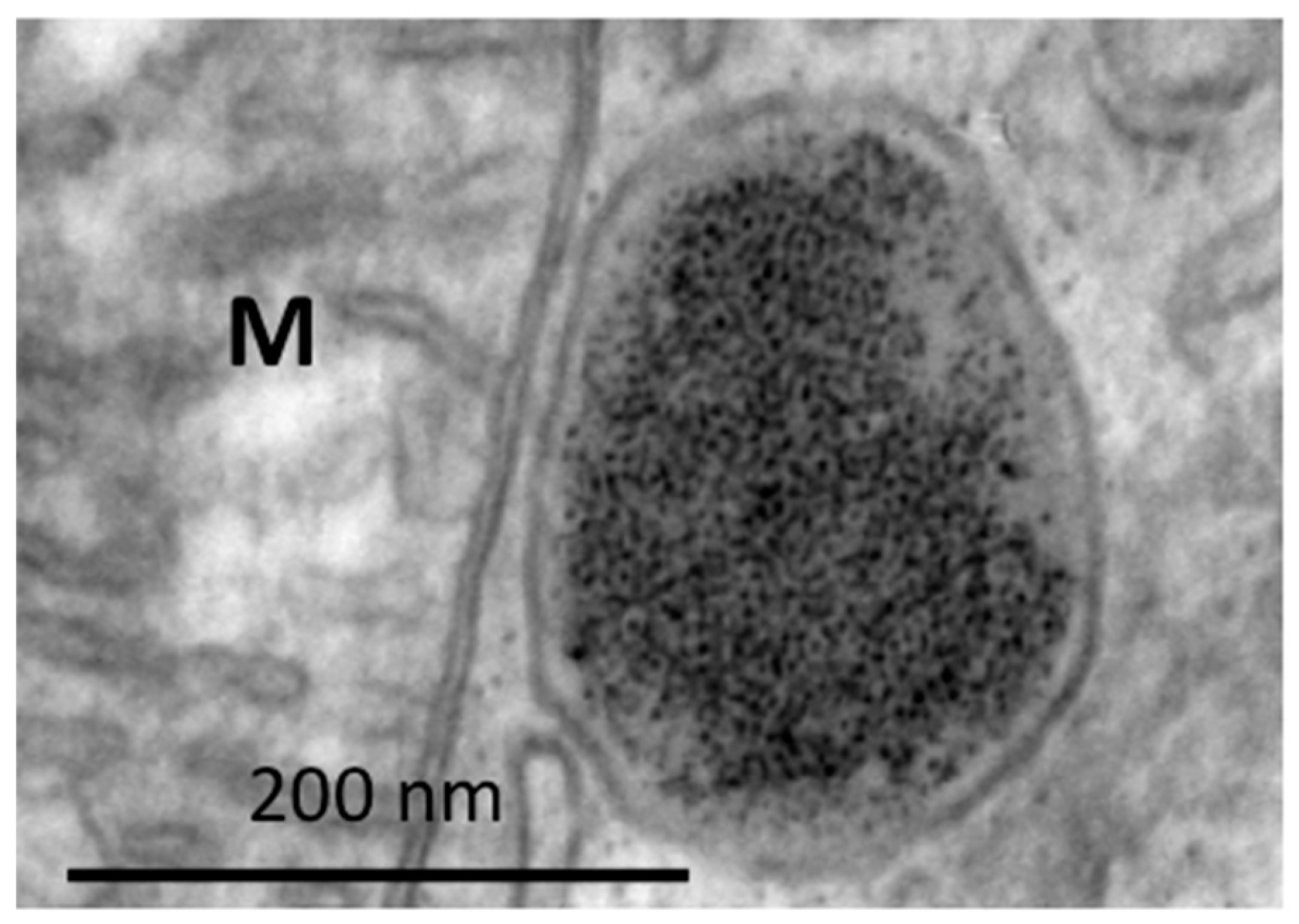 Applsci 10 07322 g004 Applsci 10 07322 g004