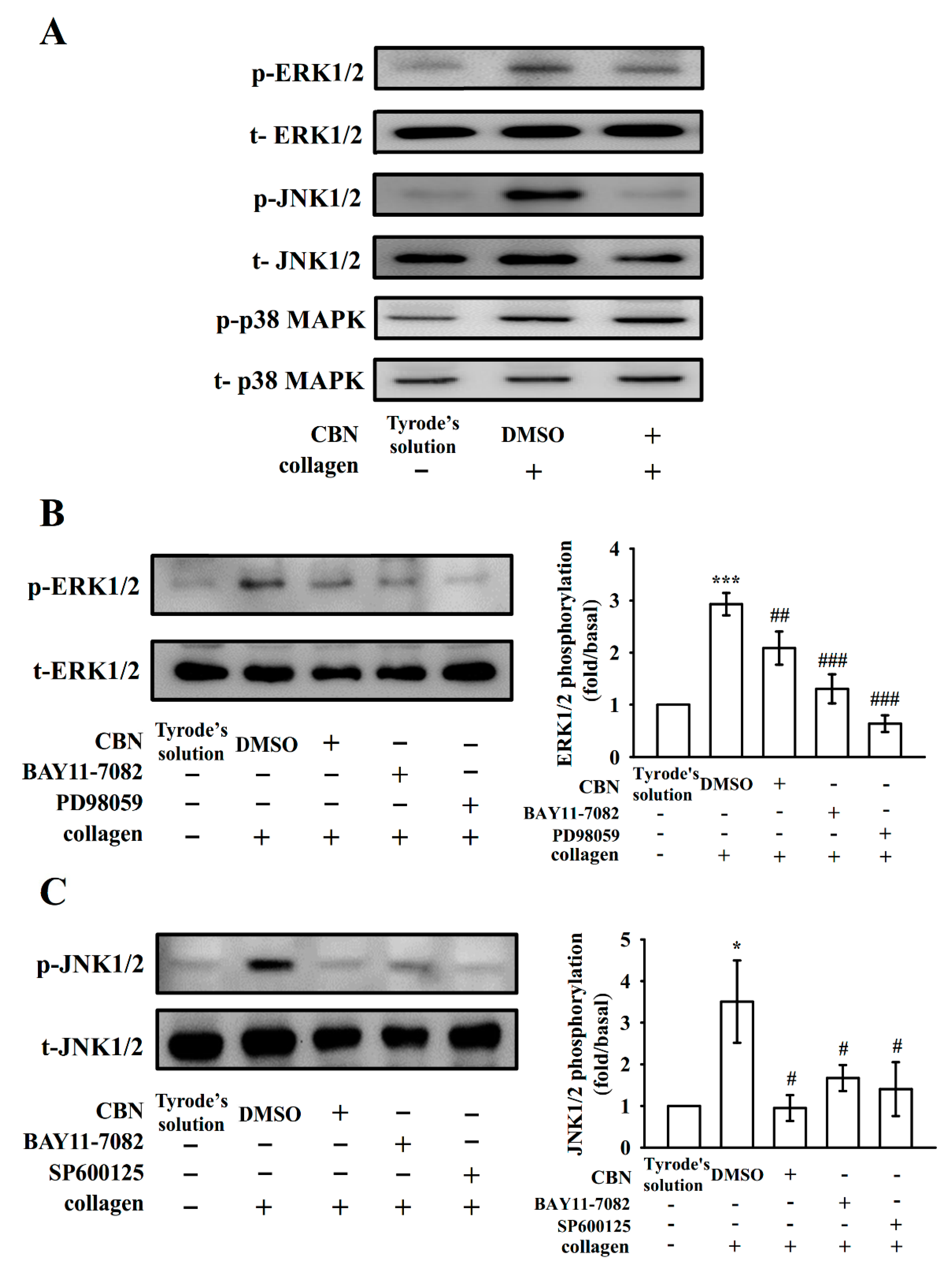 Applsci 10 07323 g004 Applsci 10 07323 g004