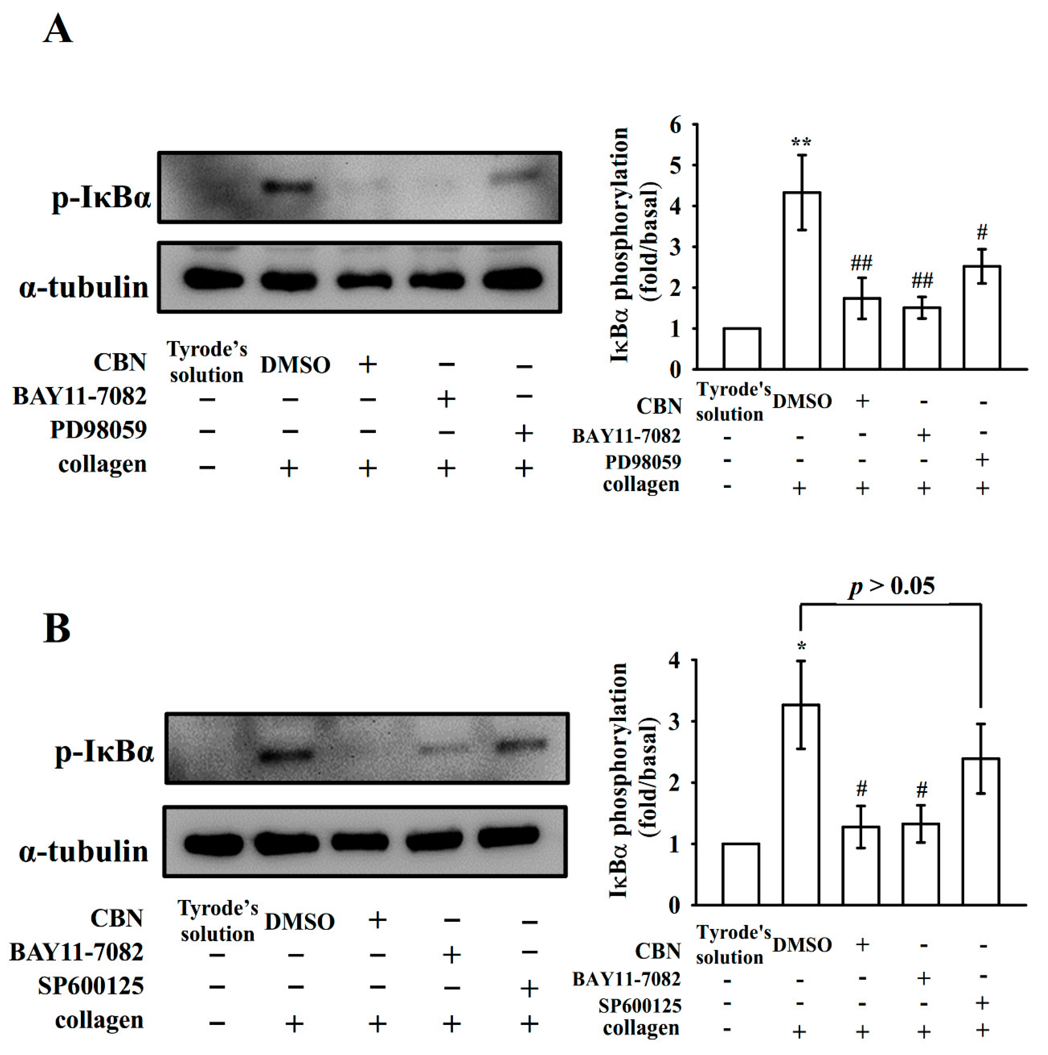 Applsci 10 07323 g005 Applsci 10 07323 g005