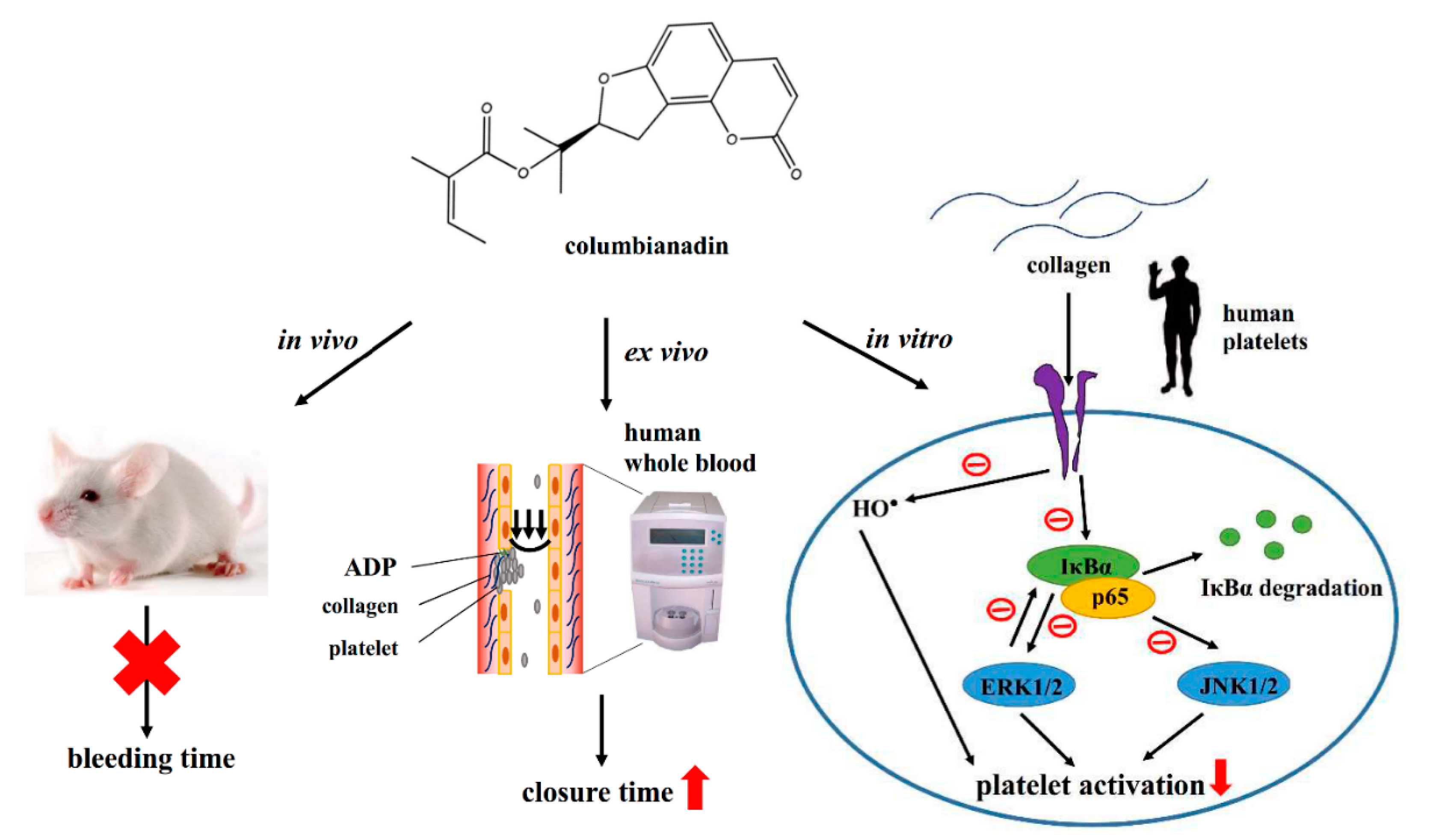 Applsci 10 07323 g007 Applsci 10 07323 g007