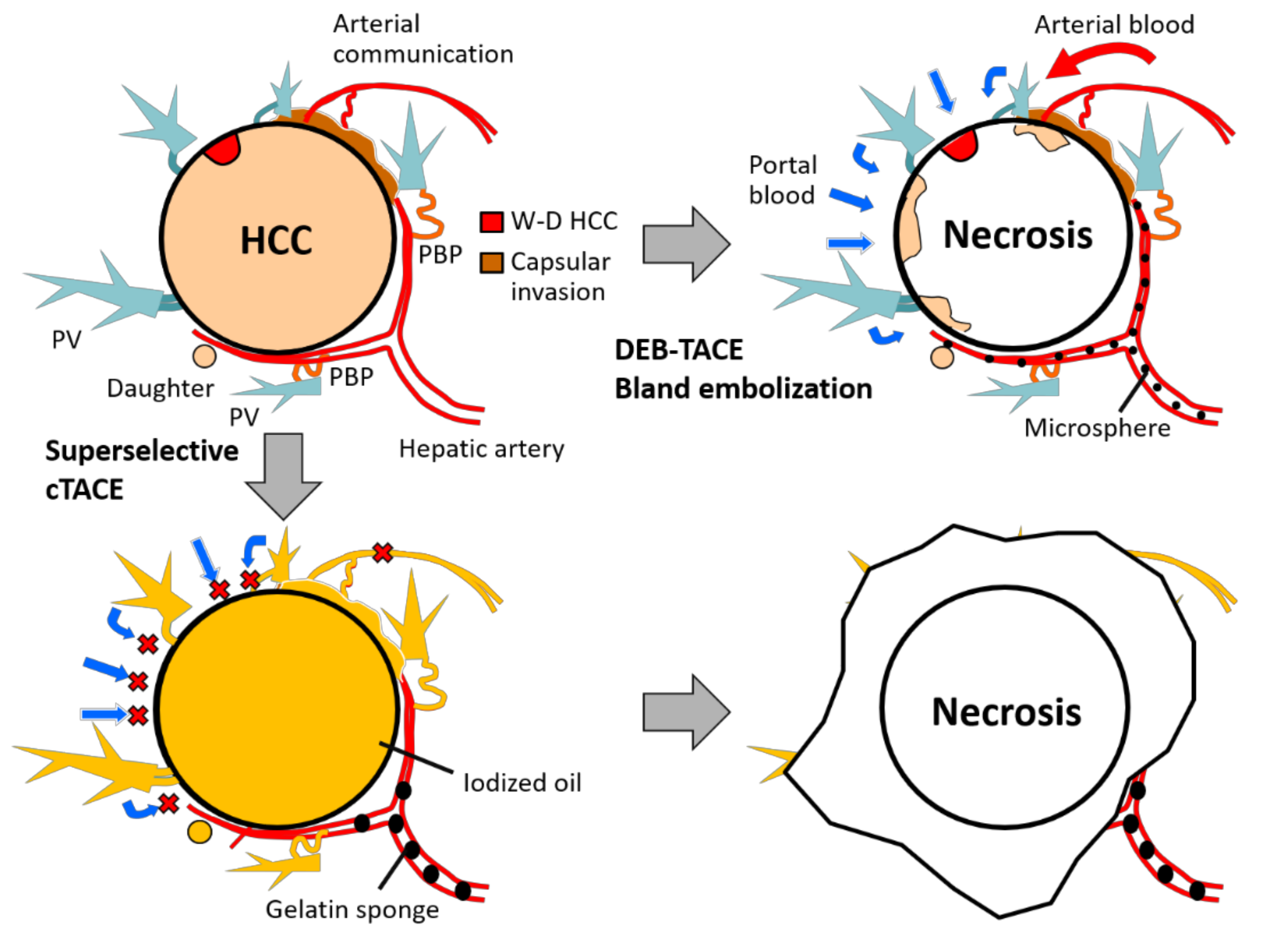 Applsci 10 07337 g003 Applsci 10 07337 g003