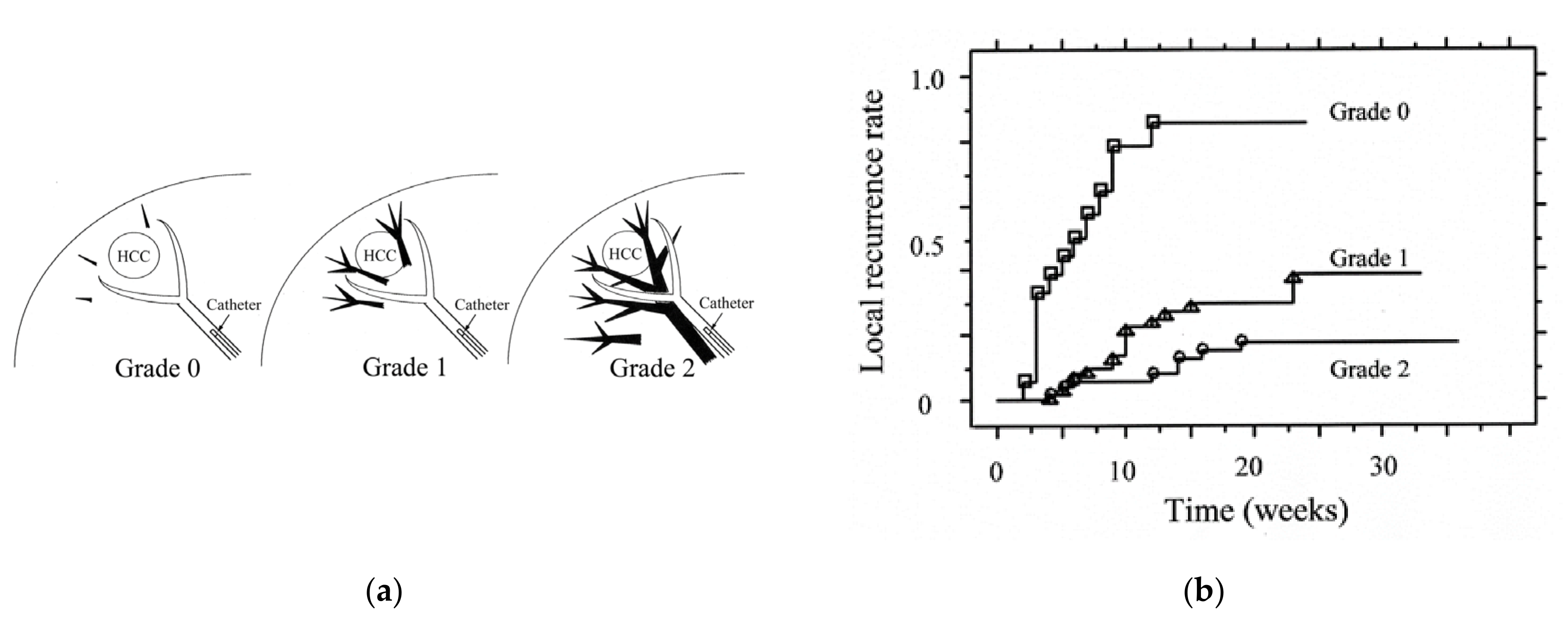 Applsci 10 07337 g004 Applsci 10 07337 g004