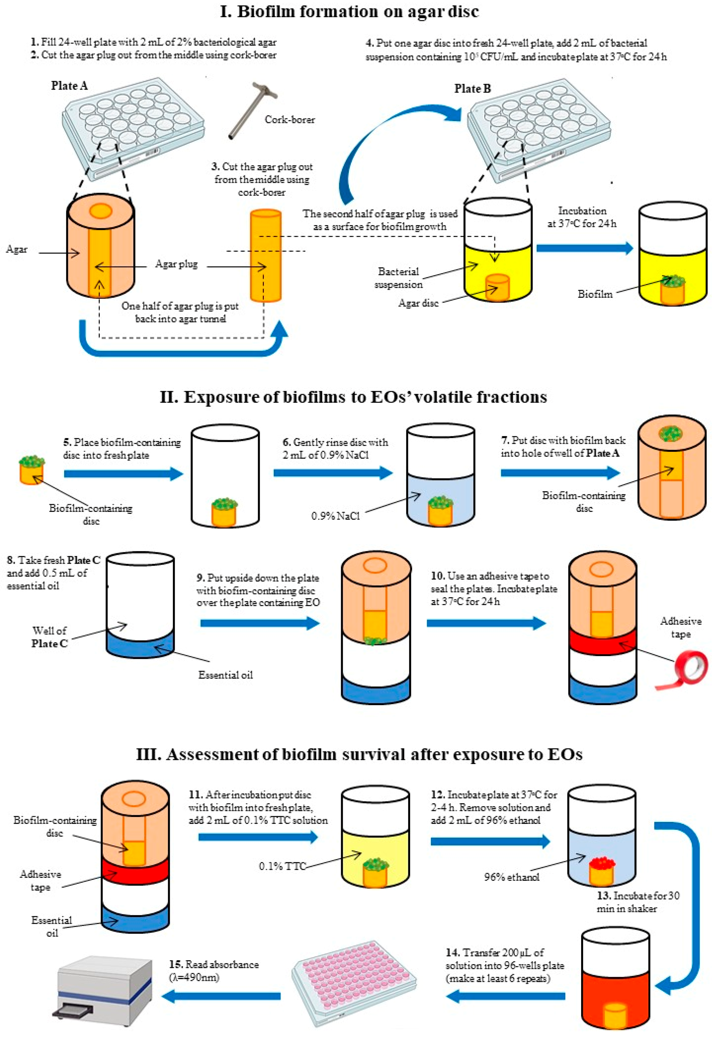Applsci 10 07343 g001