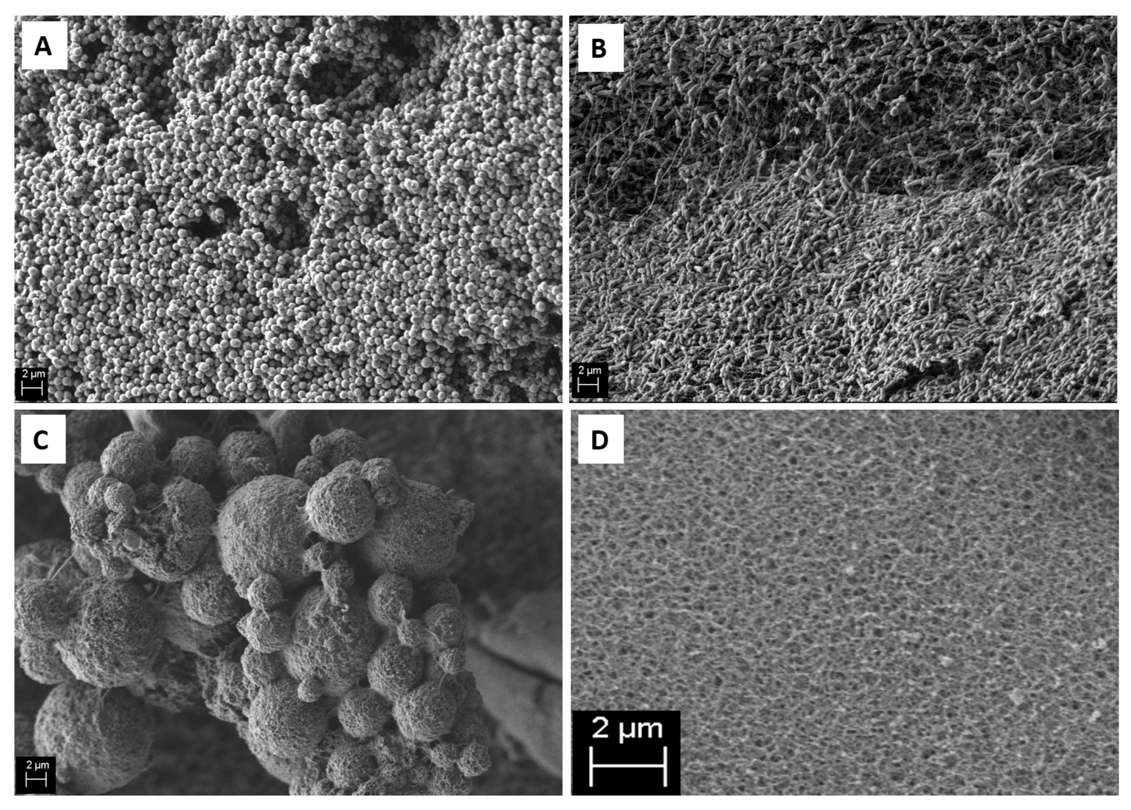 Applsci 10 07343 g002