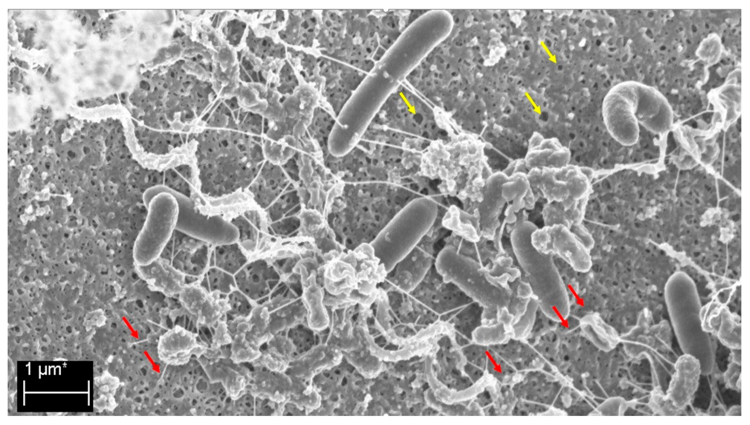 Applsci 10 07343 g006