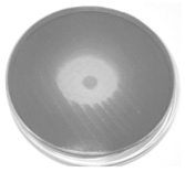 Applsci 10 07343 i002