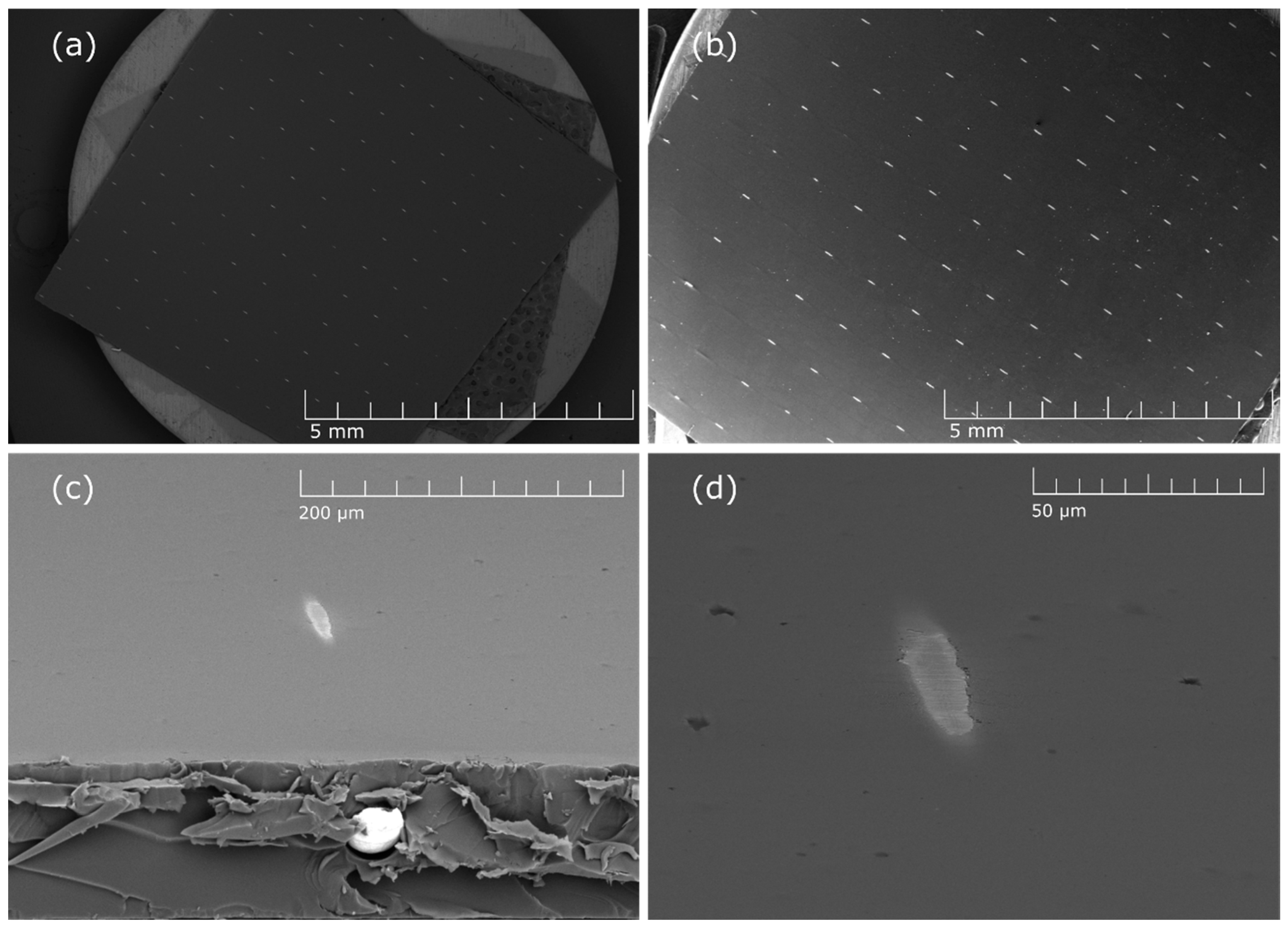 Applsci 10 07356 g003 Applsci 10 07356 g003