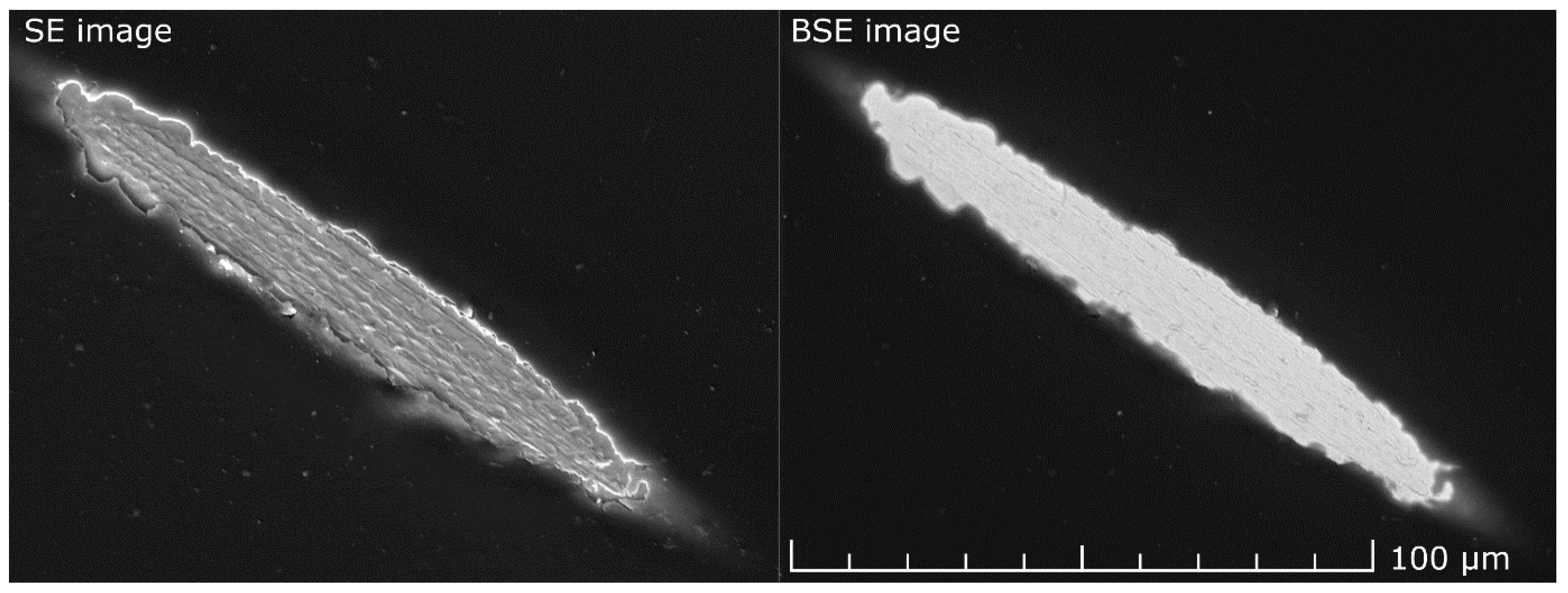 Applsci 10 07356 g004 Applsci 10 07356 g004